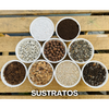 Sustrato volcánico (Pon)