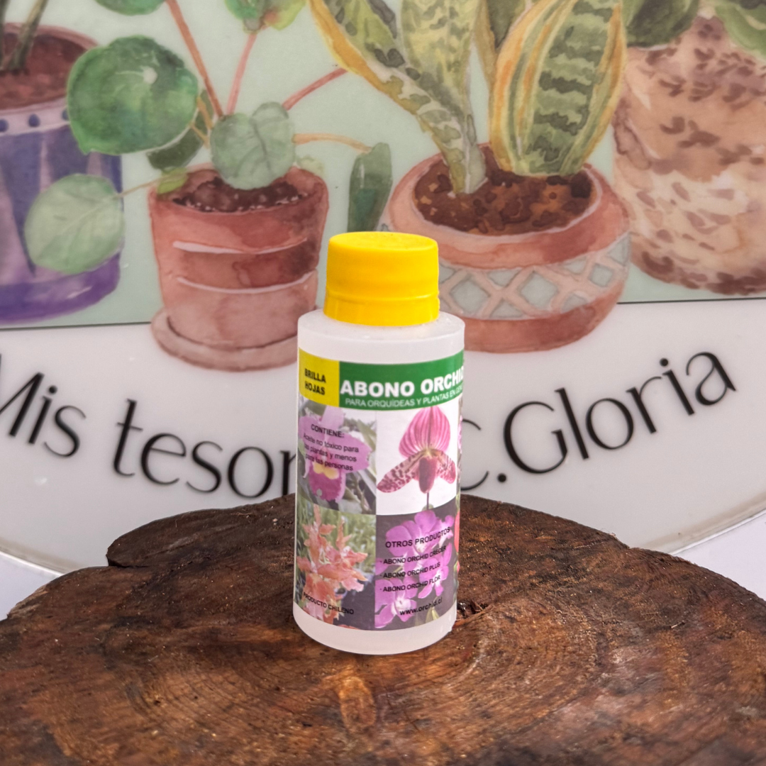 Vivero Mis Tesoros C Gloria