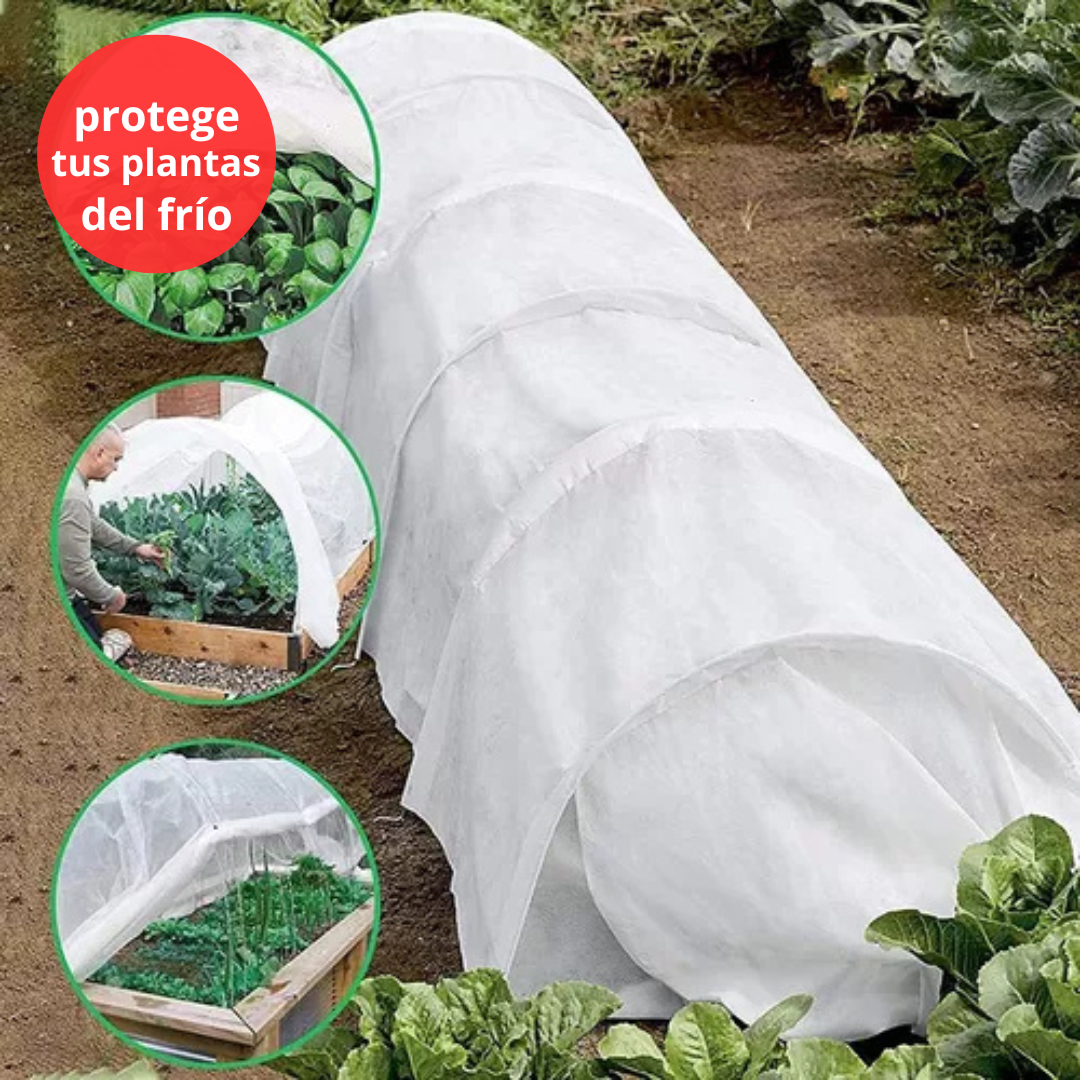 Vivero Mis Tesoros C Gloria