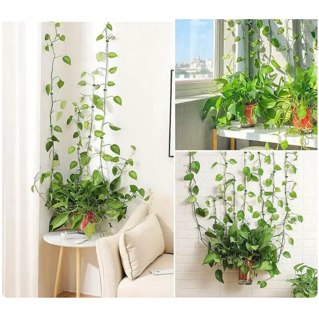 Clips para Plantas Trepadoras