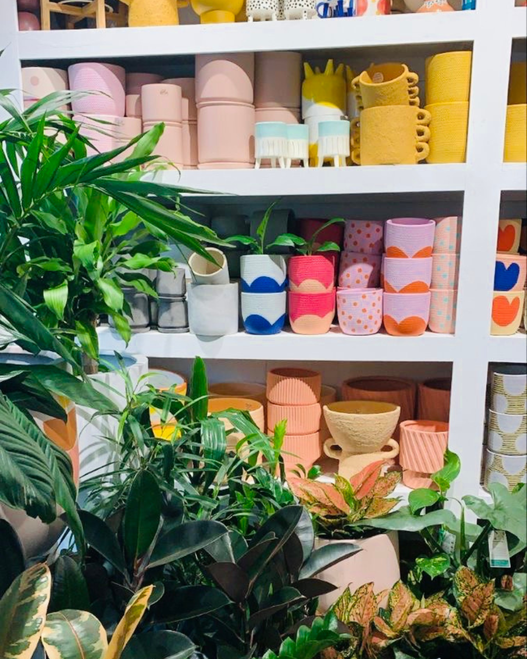 Vivero Mis Tesoros C Gloria