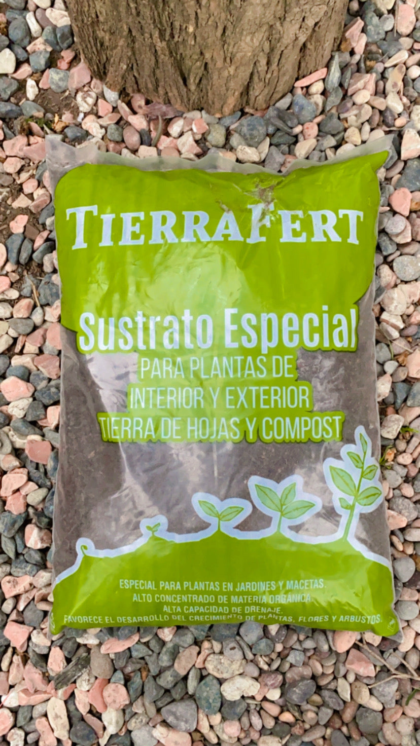 Vivero Mis Tesoros C Gloria