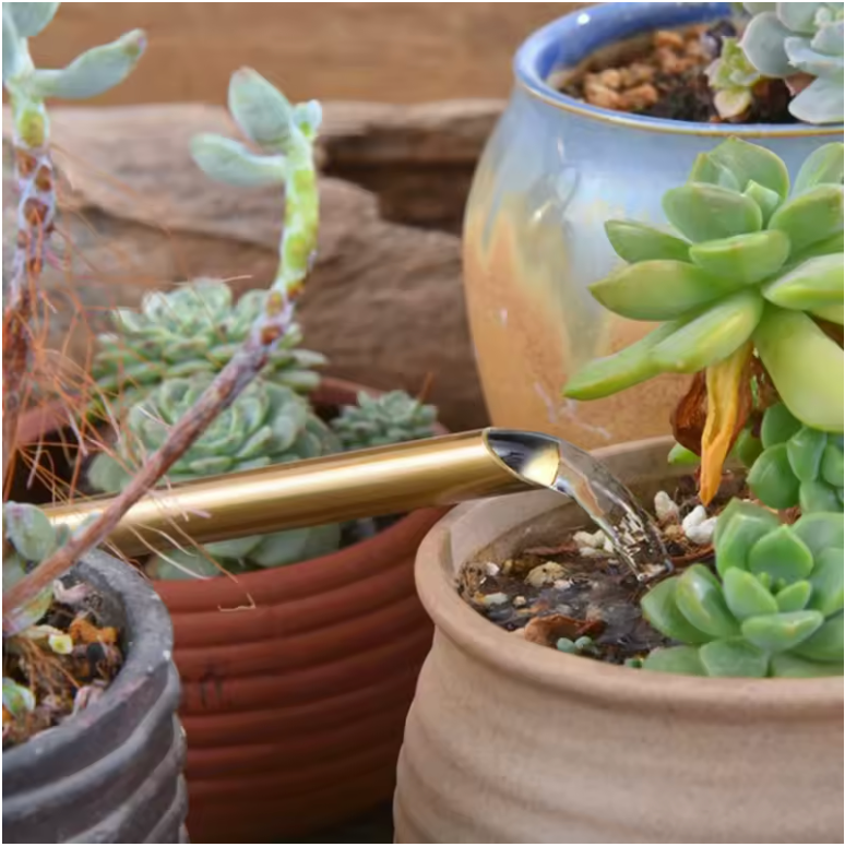 Regadera Acero Inoxidable