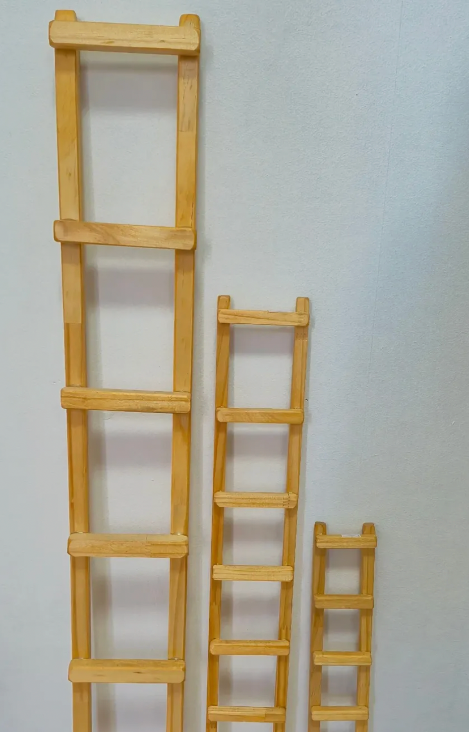 Guía escalera de madera - soporte para plantas trepadoras