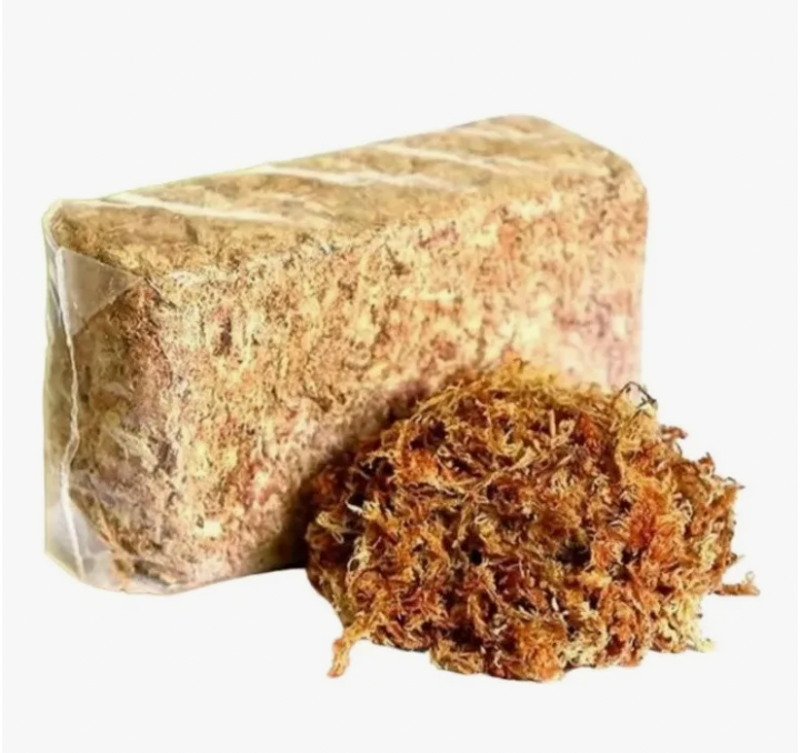 Musgo Sphagnum 1kg (Deshidratado rinde 80 litros)