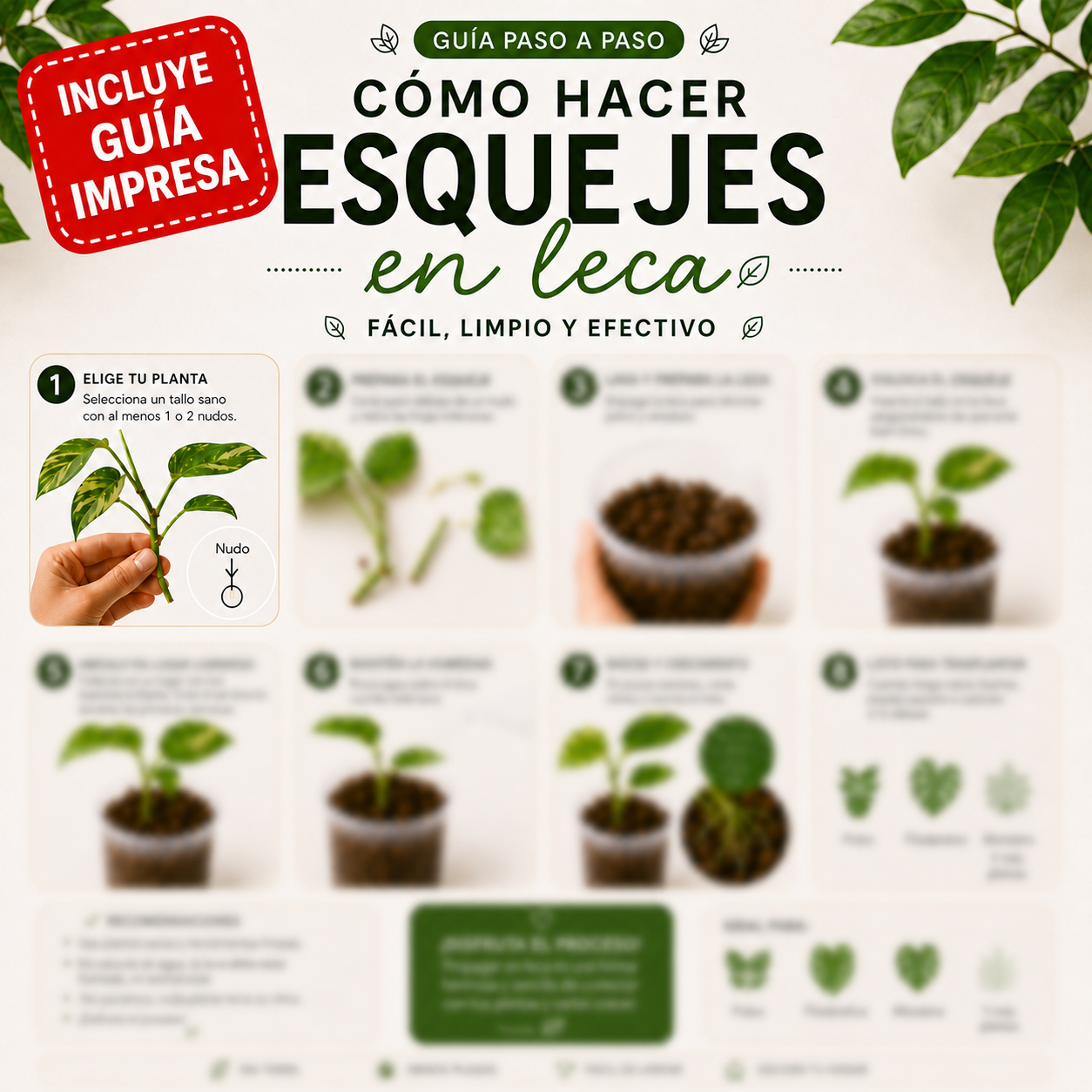 Pack propagación + guía