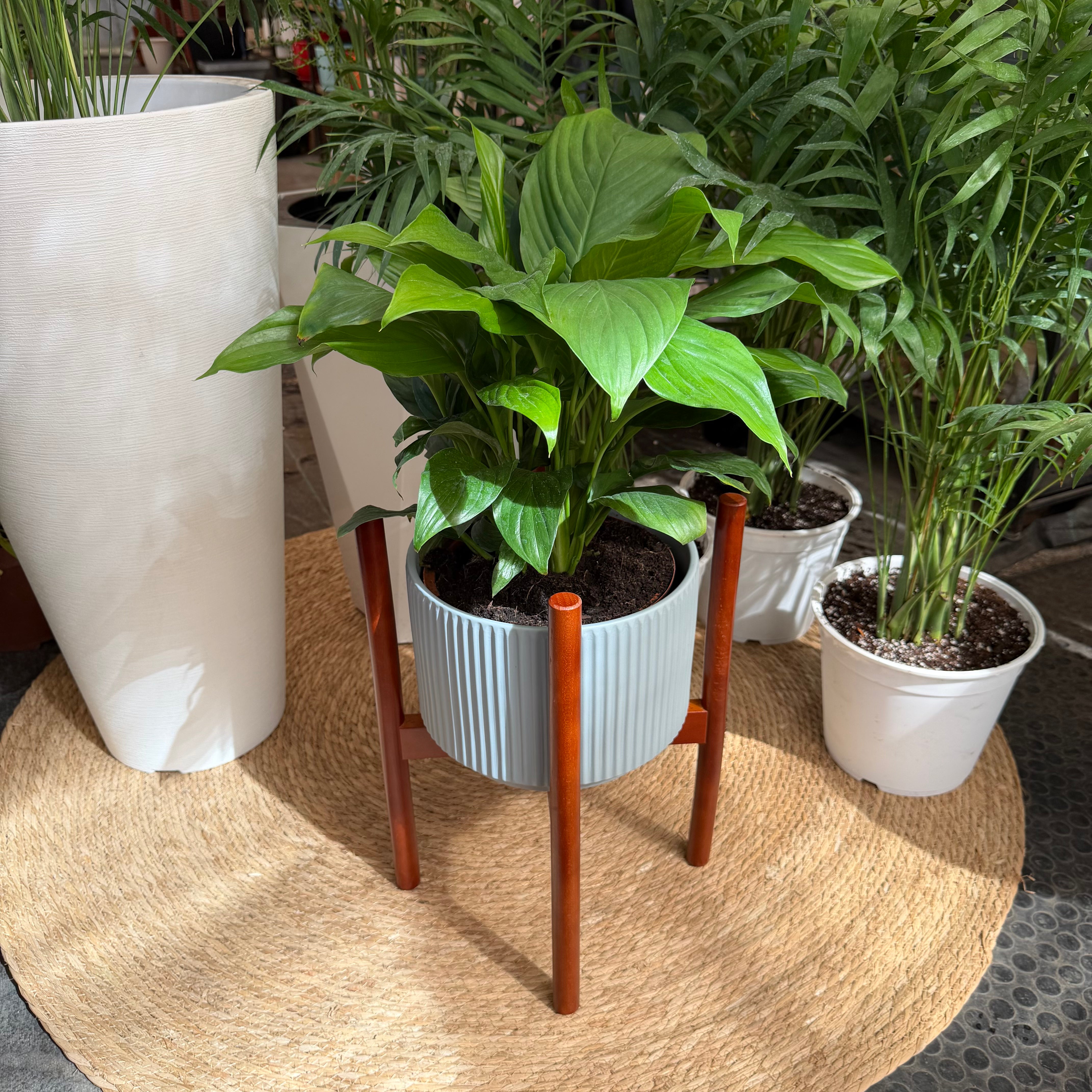 Pedestal Madera para maceteros