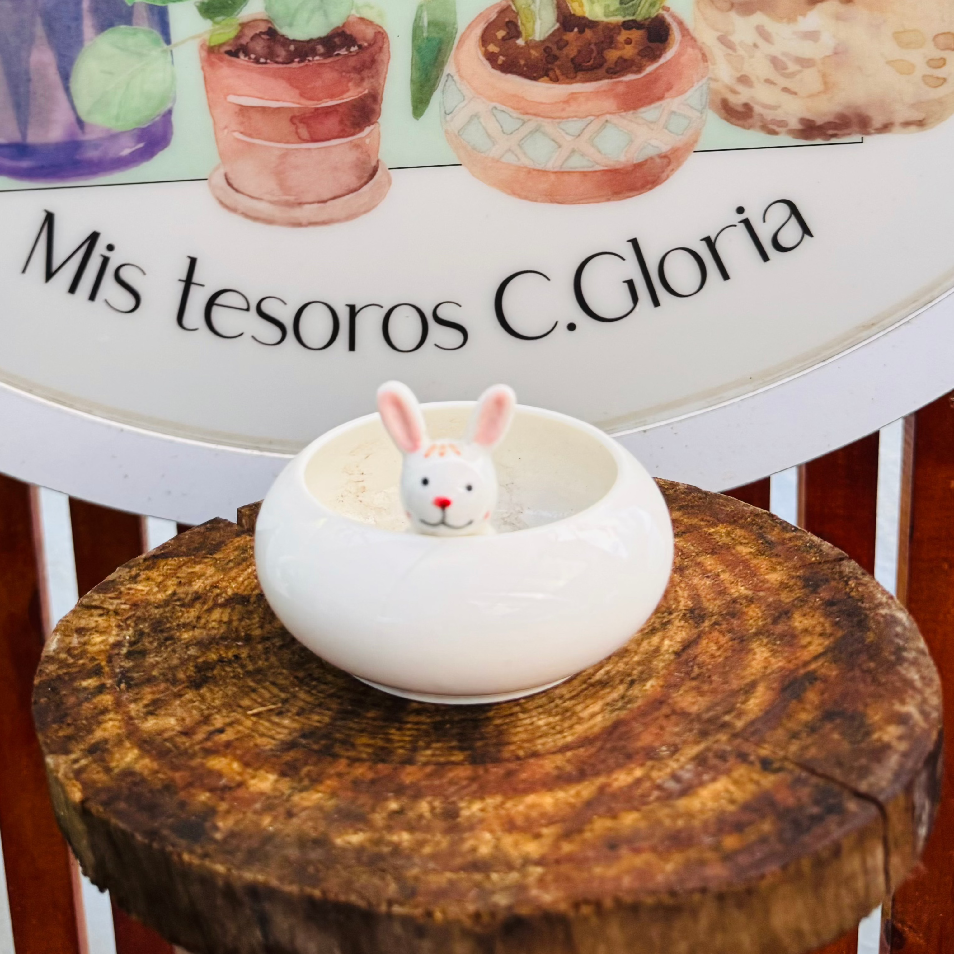 Vivero Mis Tesoros C Gloria