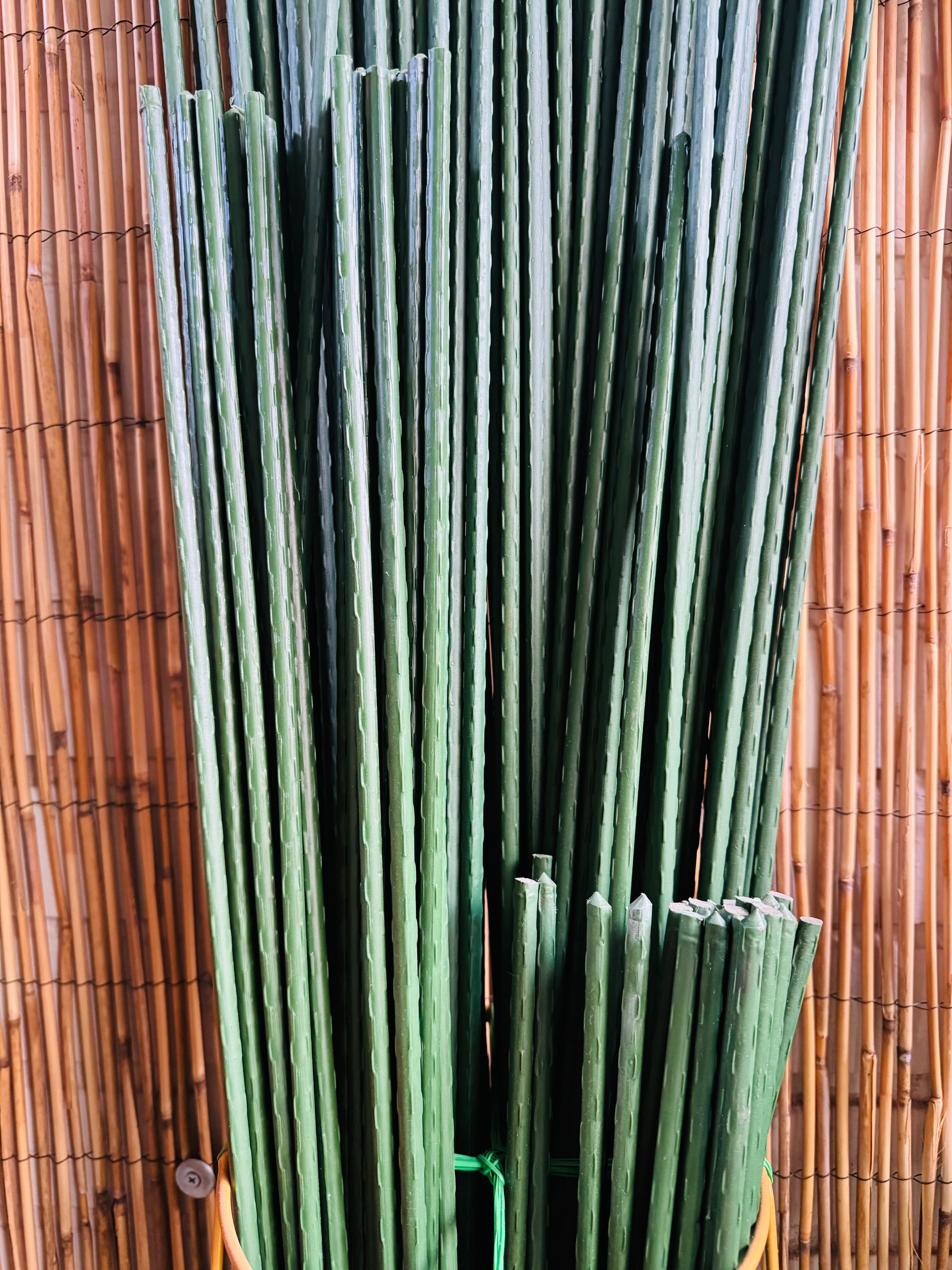 Tutores Guías para Plantas