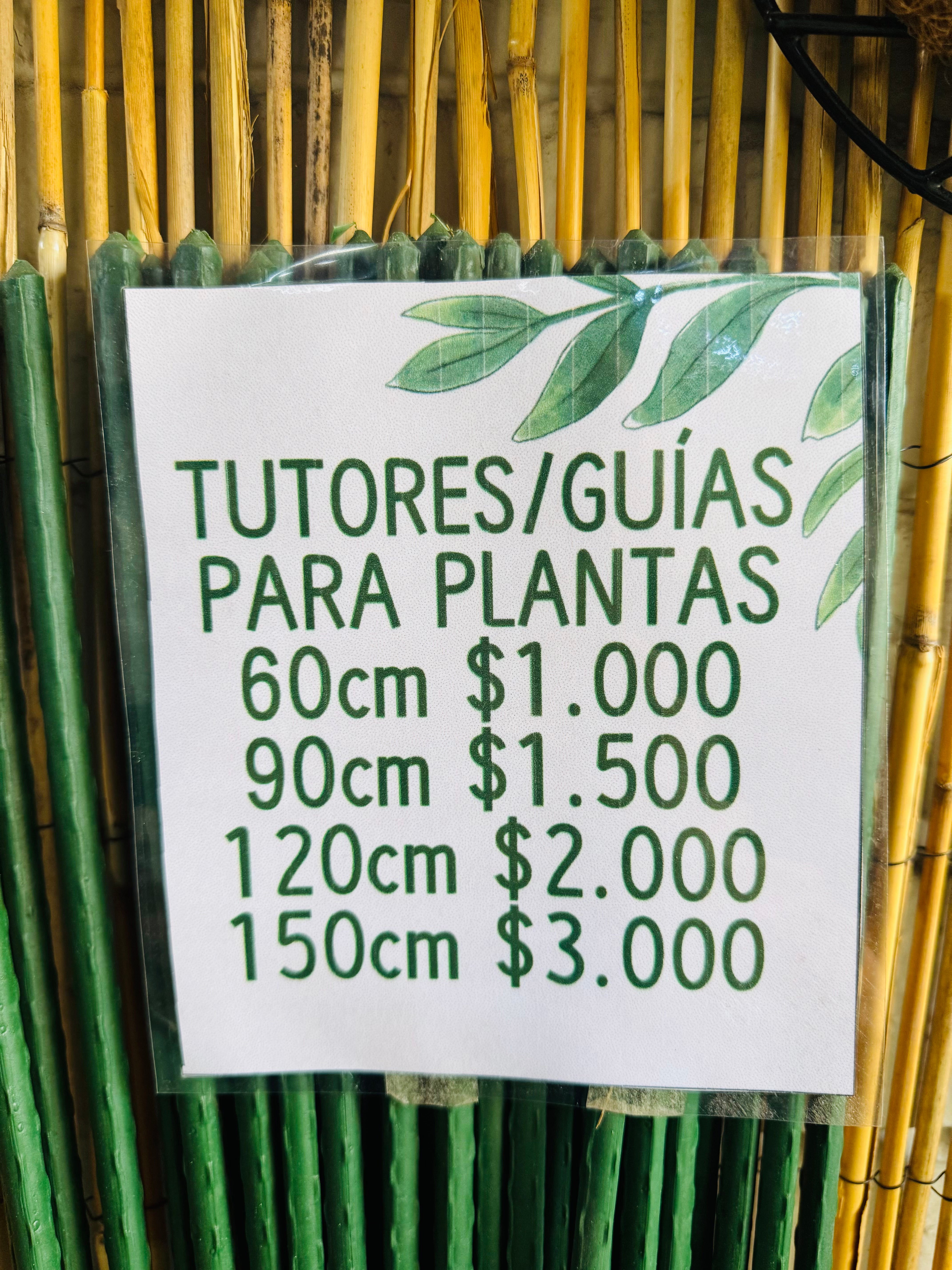 Vivero Mis Tesoros C Gloria