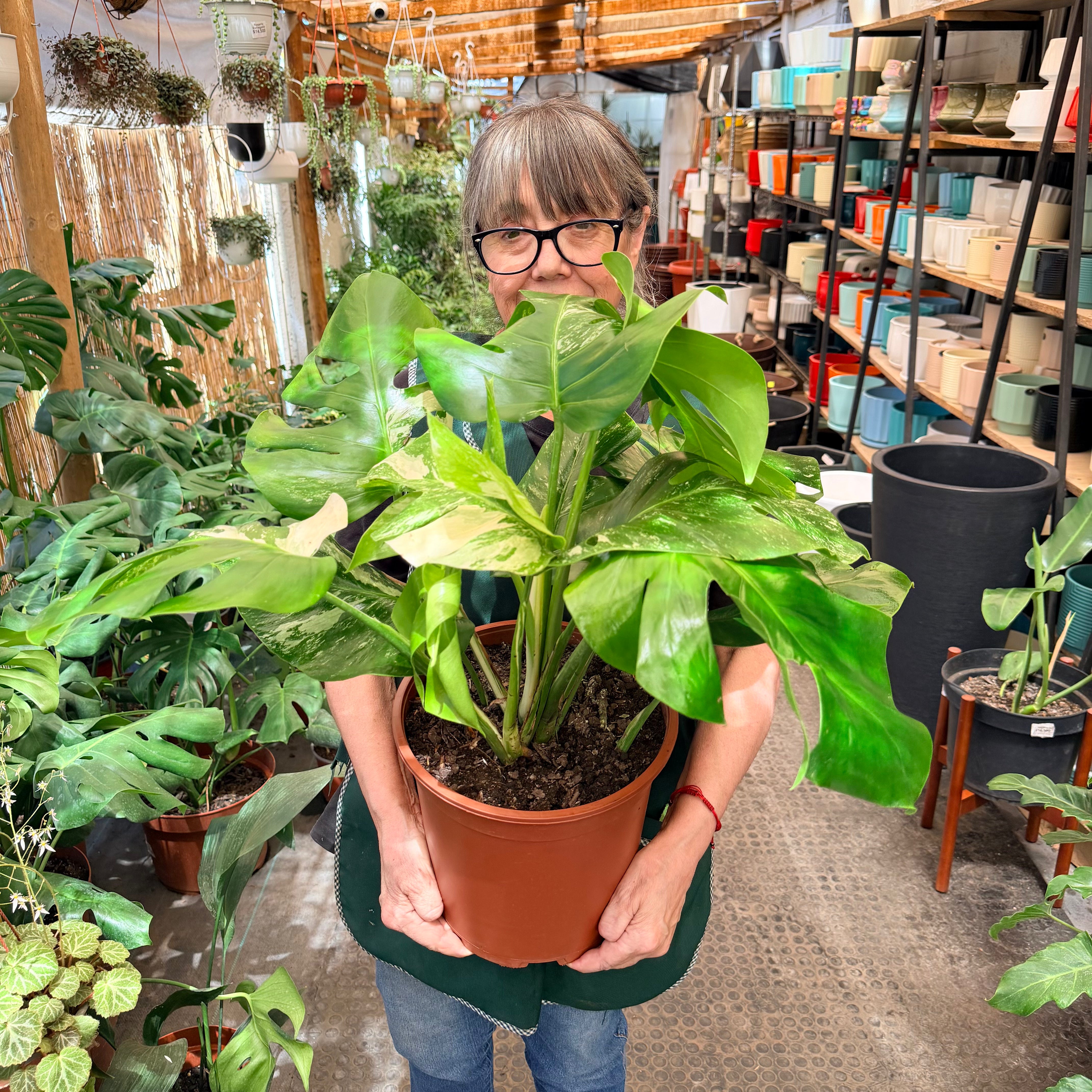 Vivero Mis Tesoros C Gloria