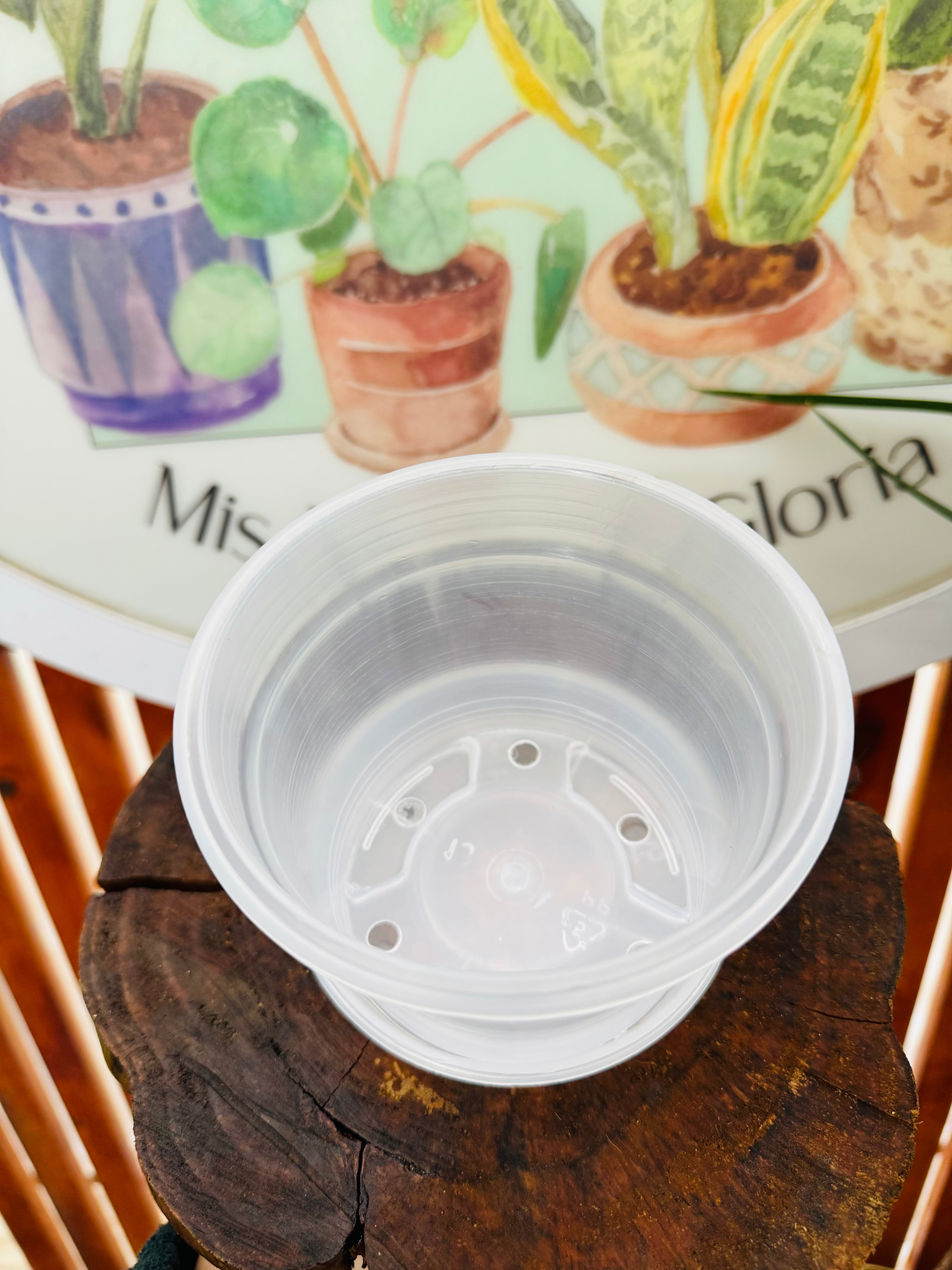 Maceta Trasparente n.10