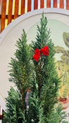 Pino Navideño grande