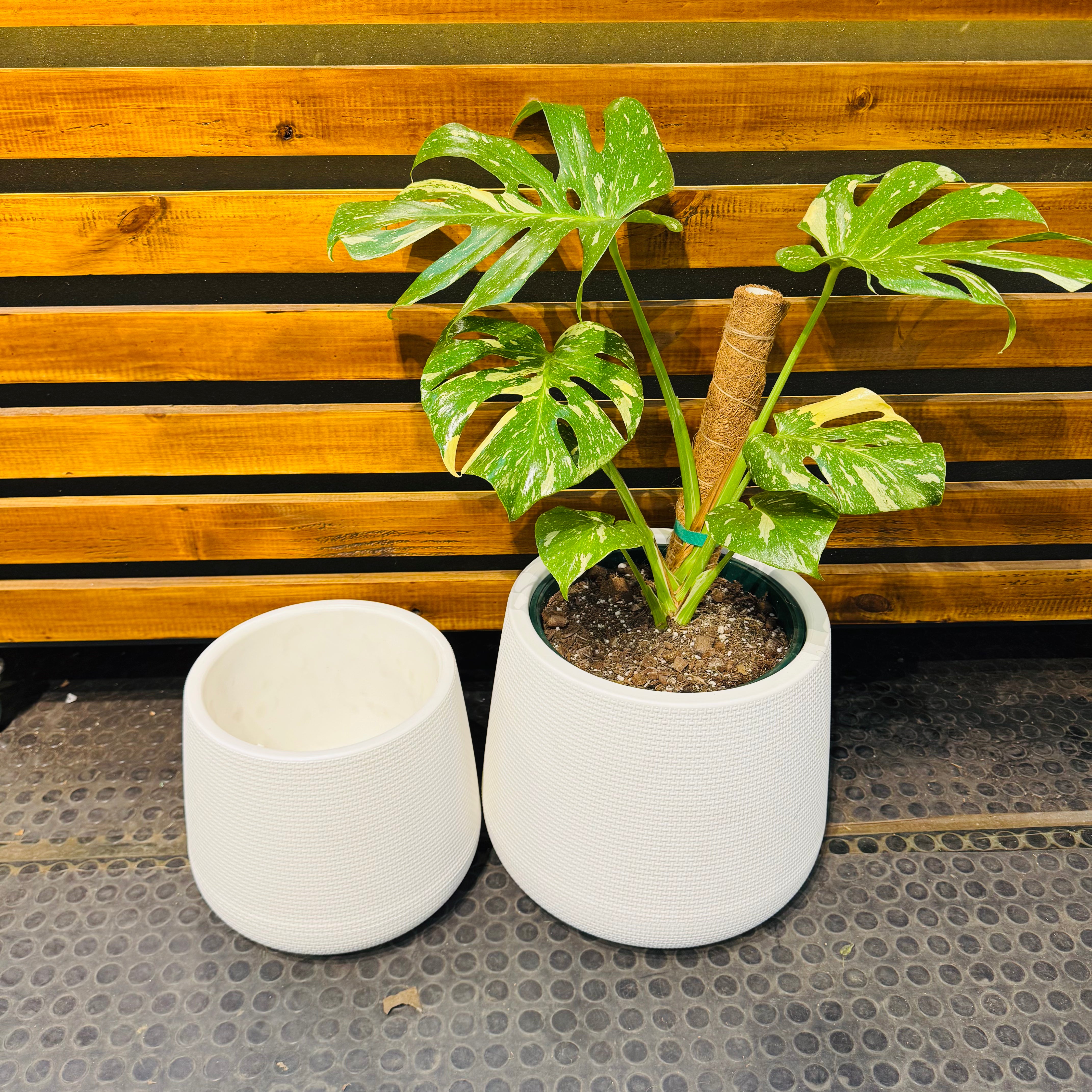 Maceteros Doble Fondo BLANCO