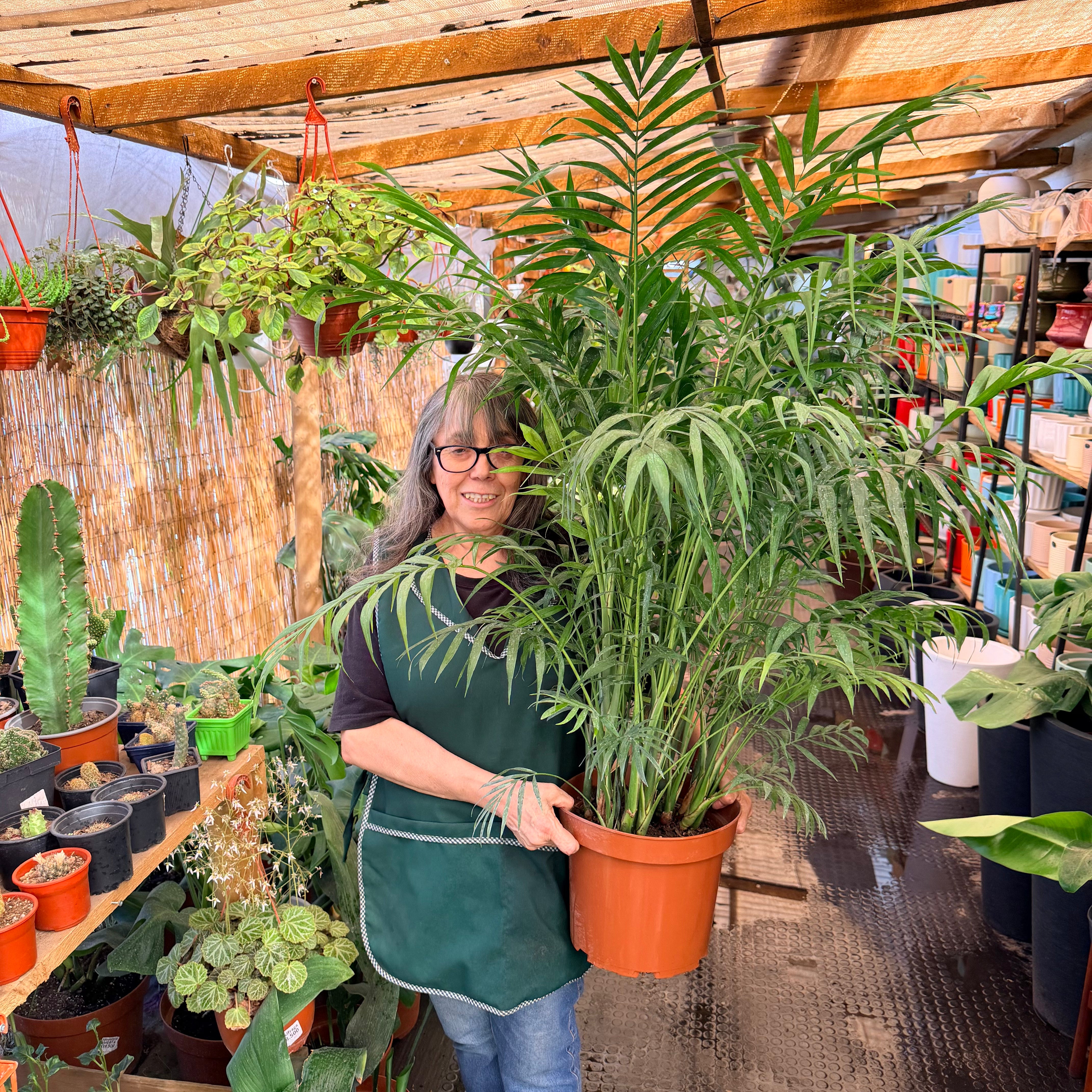 Vivero Mis Tesoros C Gloria