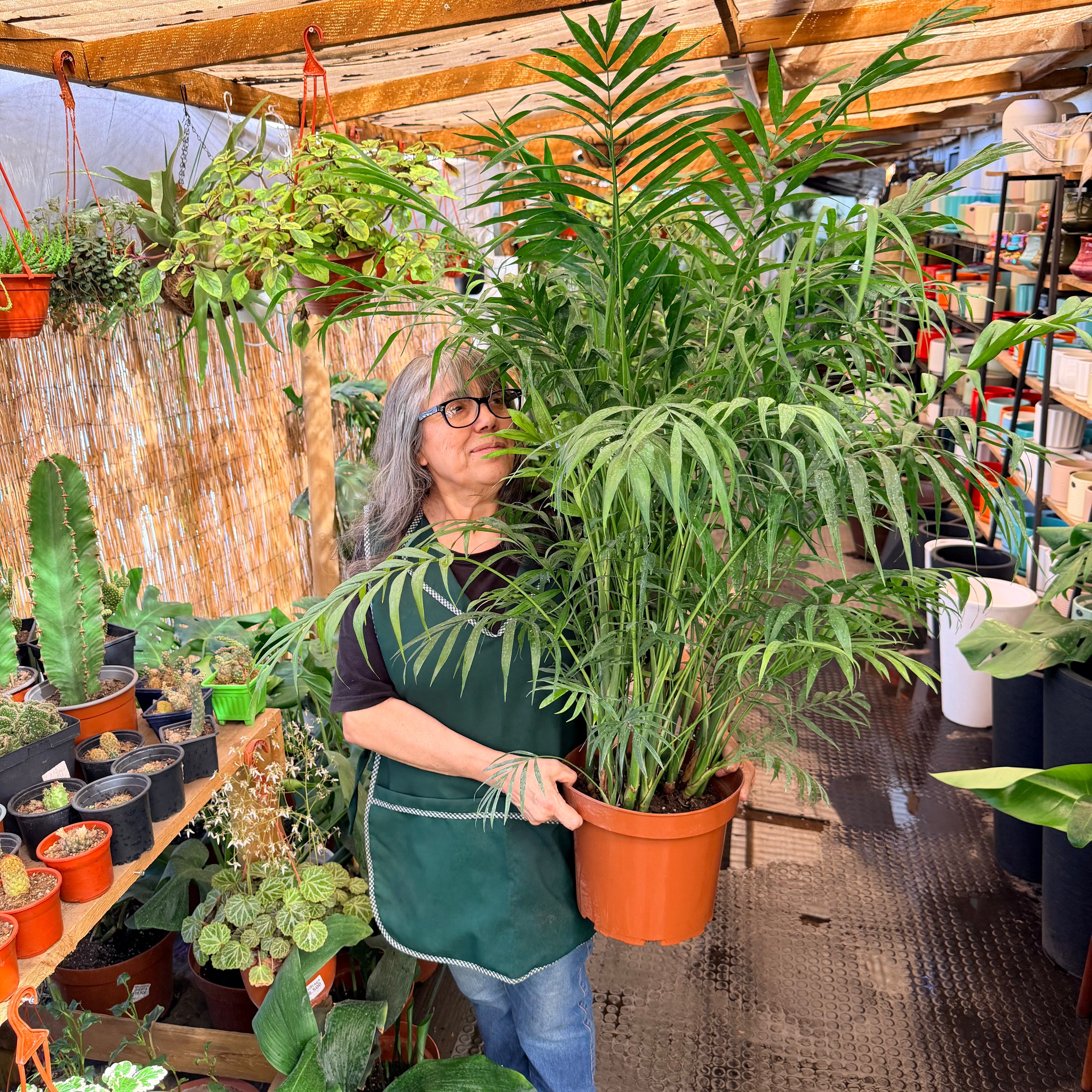 Vivero Mis Tesoros C Gloria