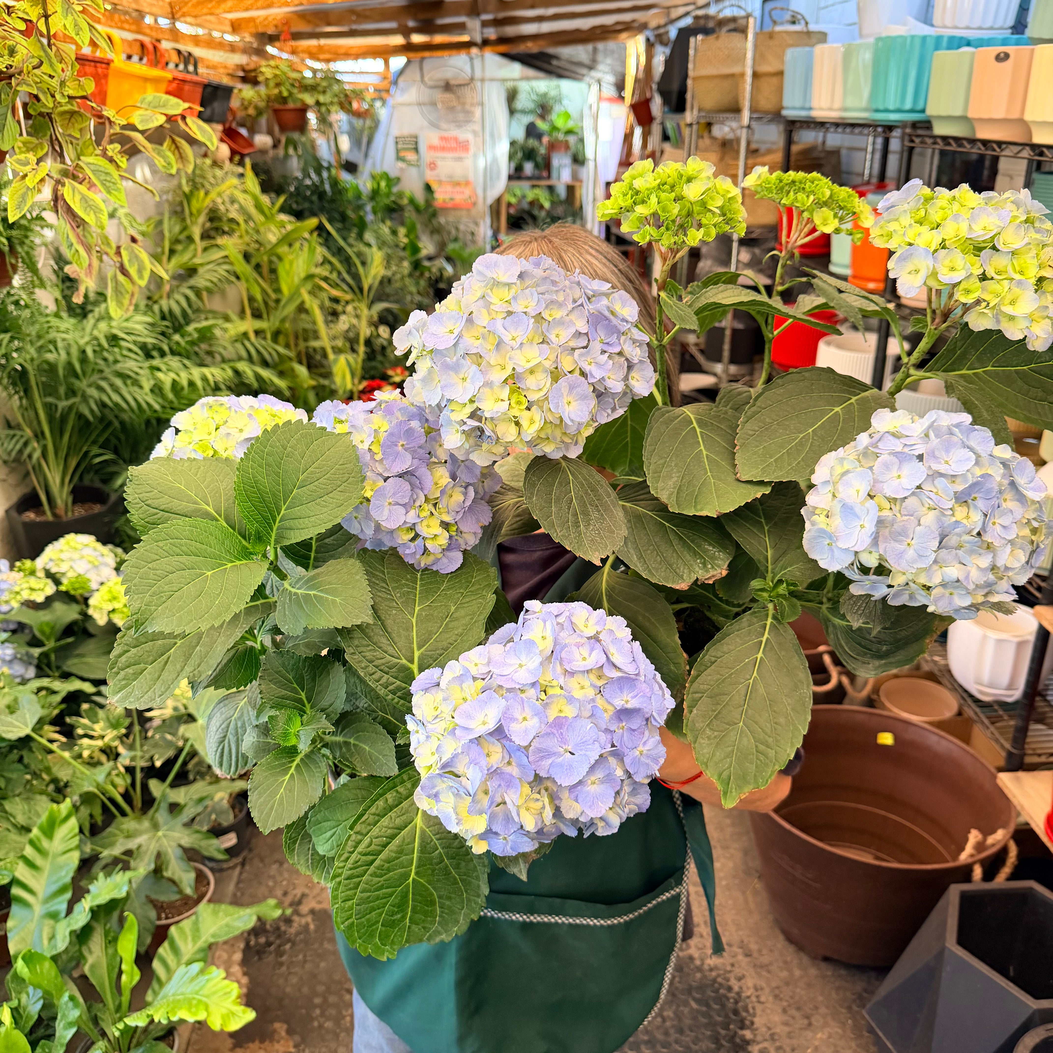 Vivero Mis Tesoros C Gloria