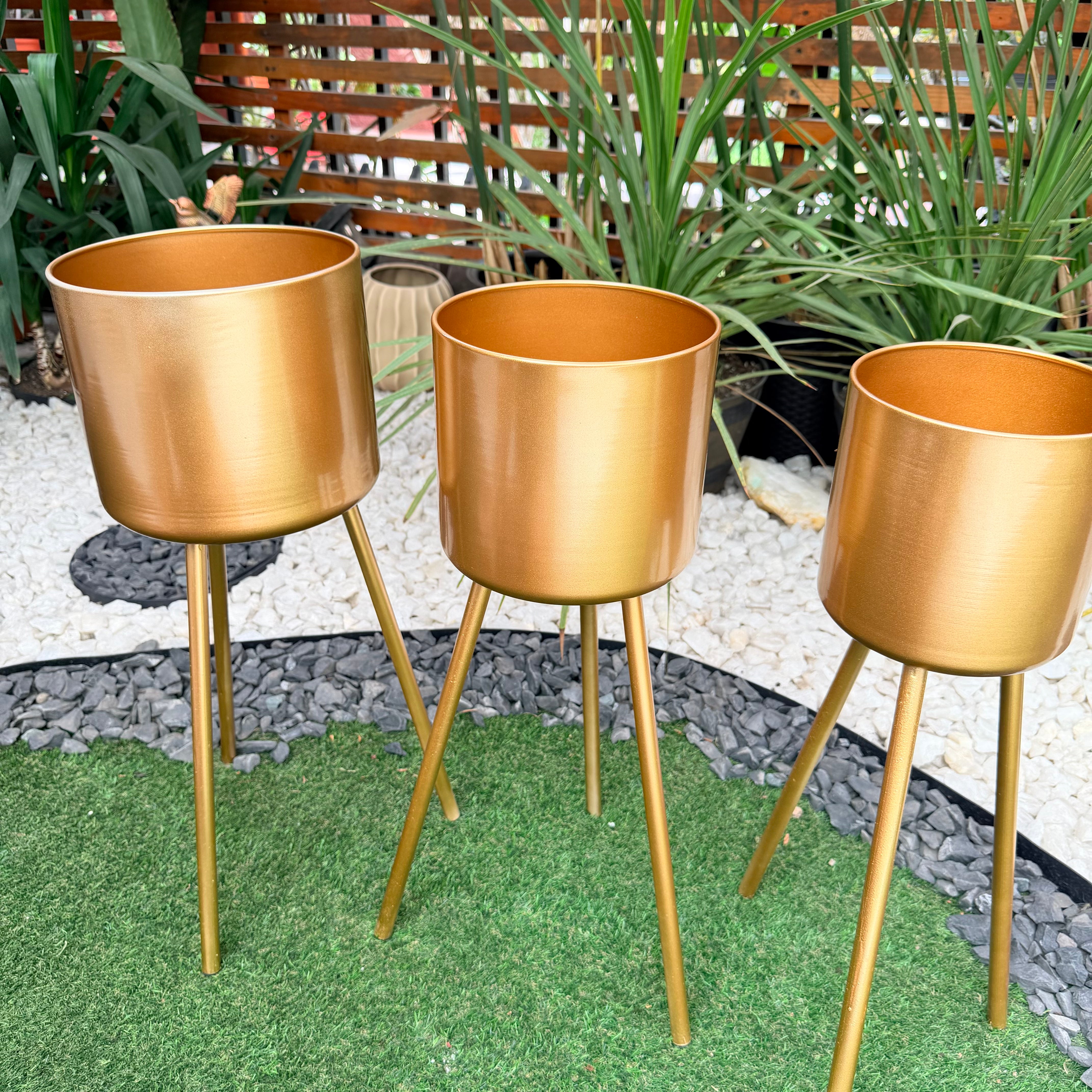 Vivero Mis Tesoros C Gloria