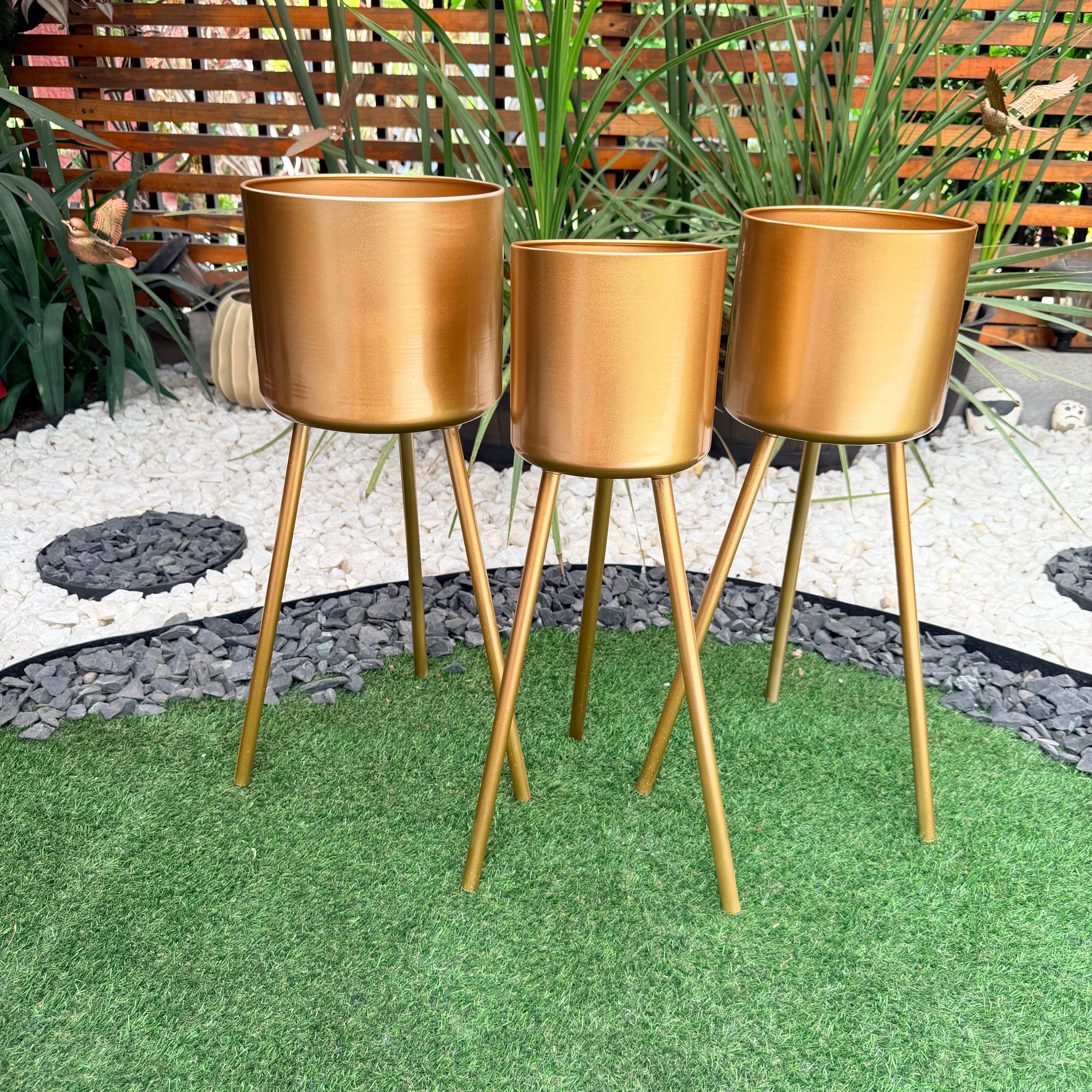 Vivero Mis Tesoros C Gloria