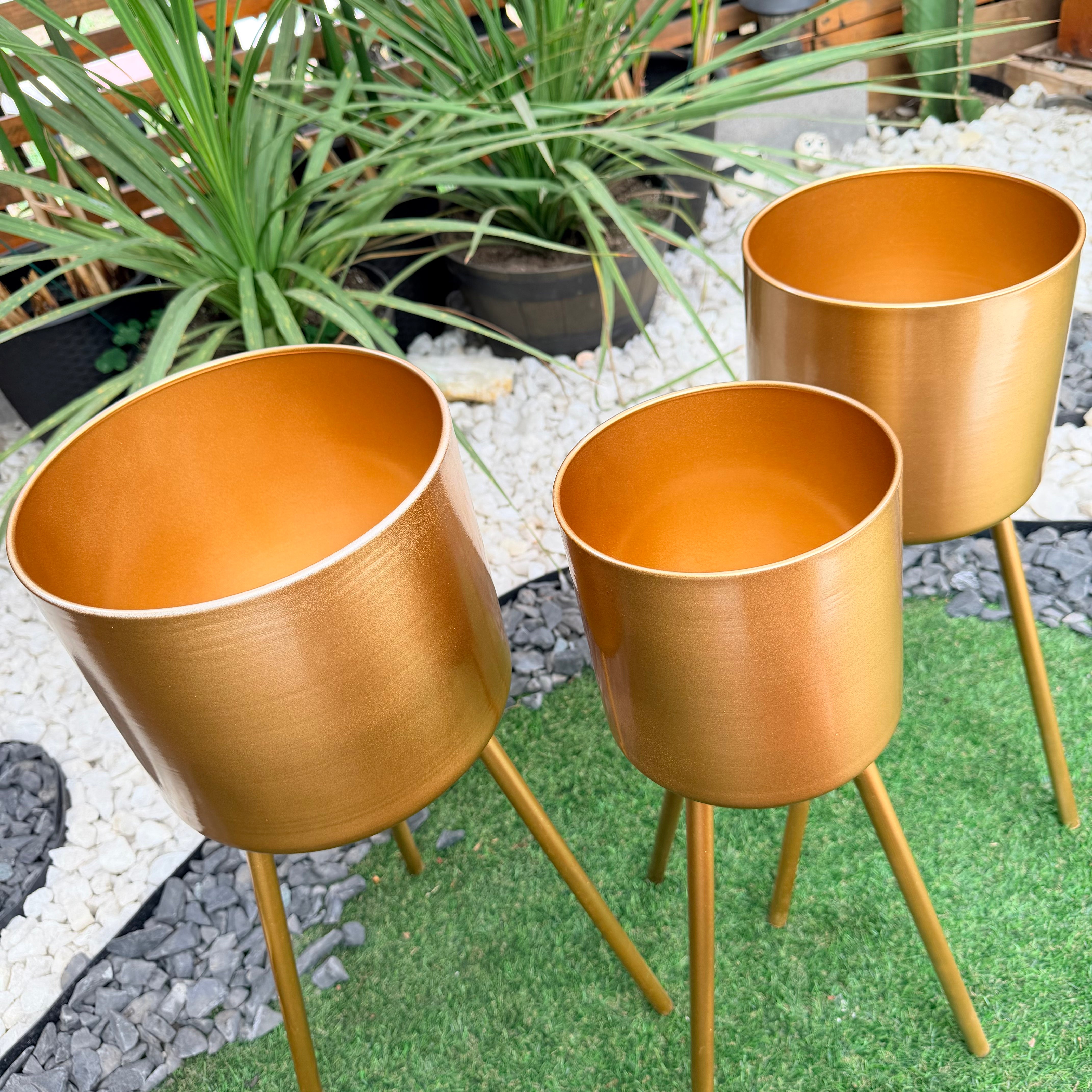 Vivero Mis Tesoros C Gloria