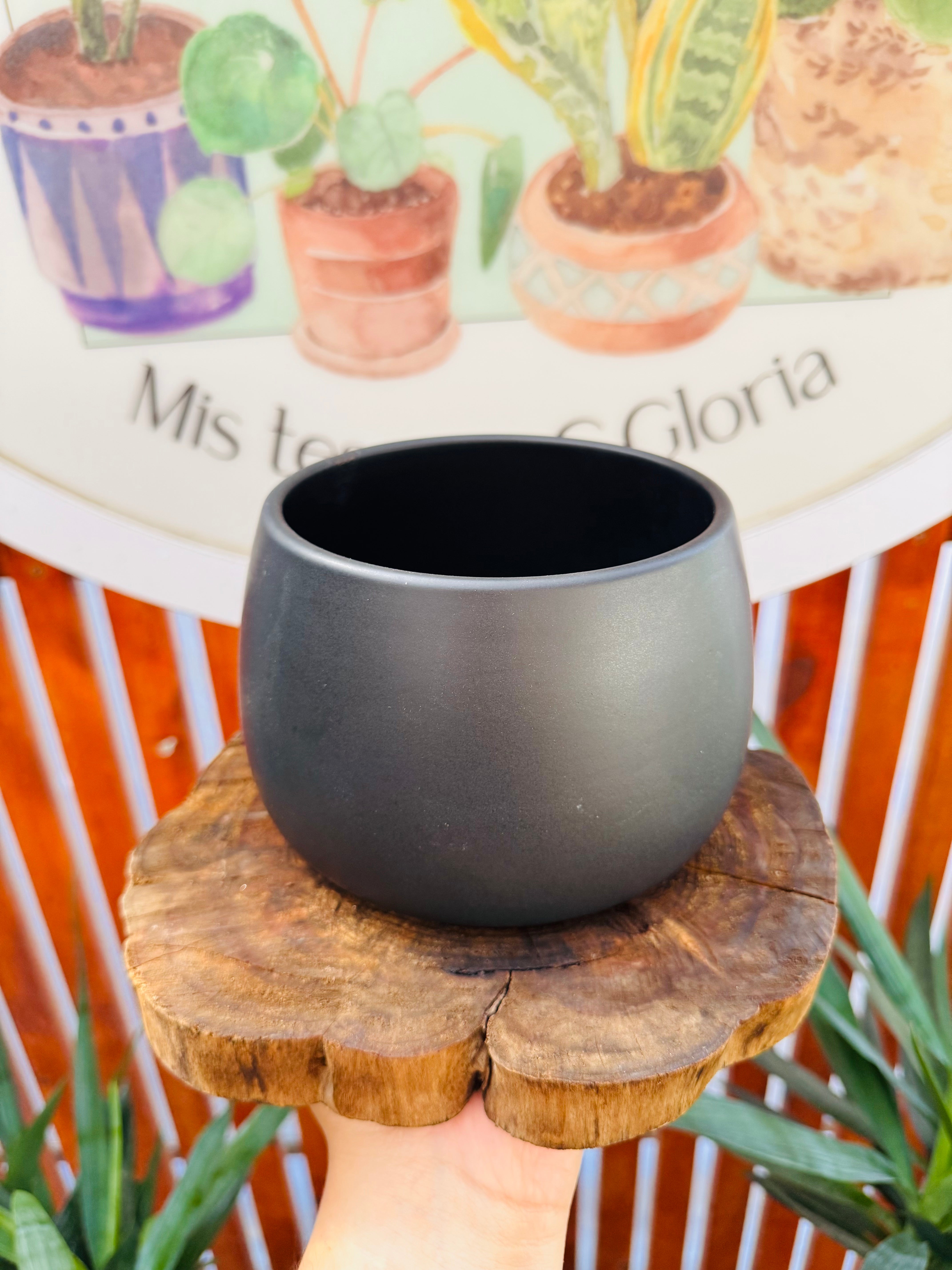 Maceta Cerámica