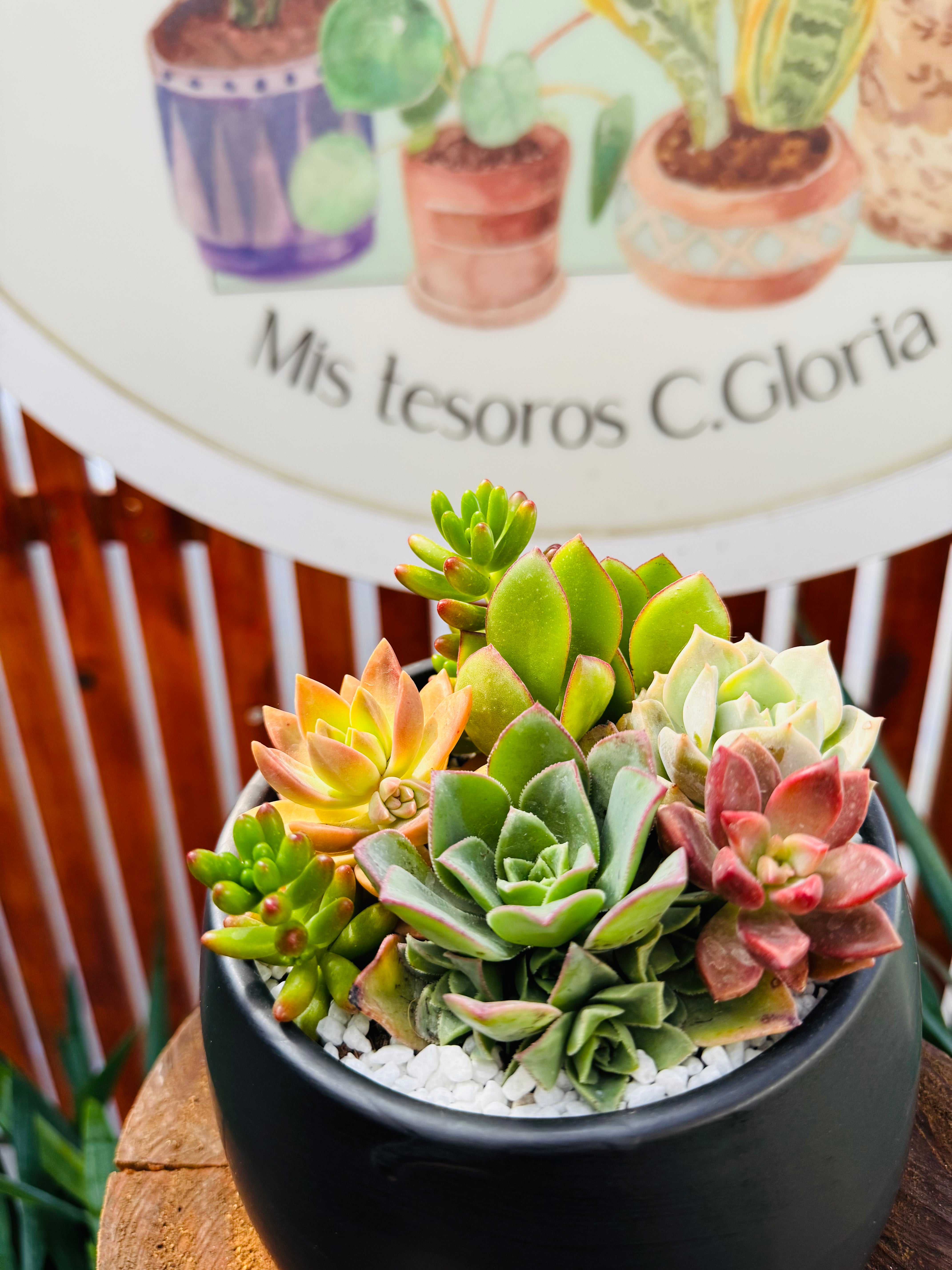 Vivero Mis Tesoros C Gloria