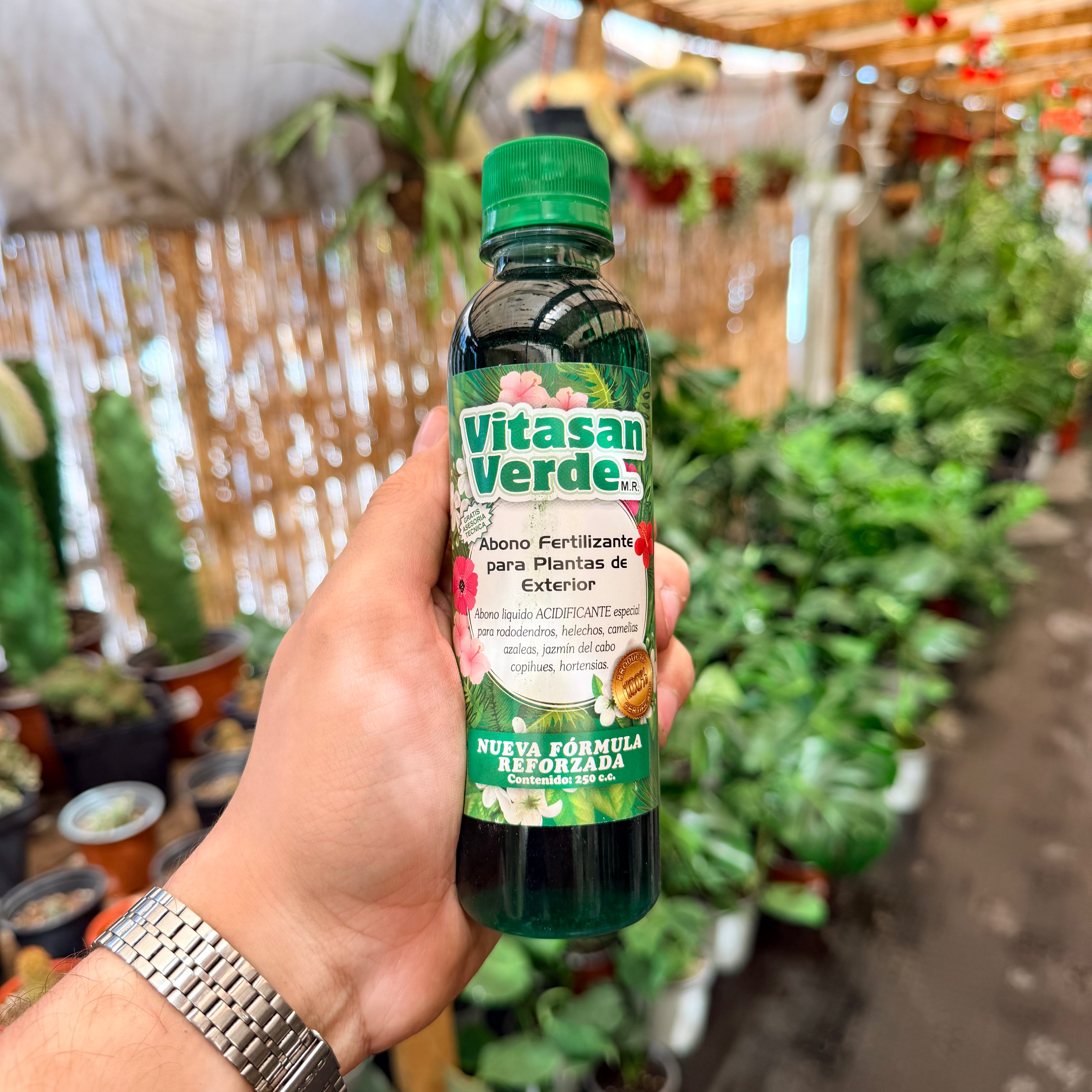 Vivero Mis Tesoros C Gloria