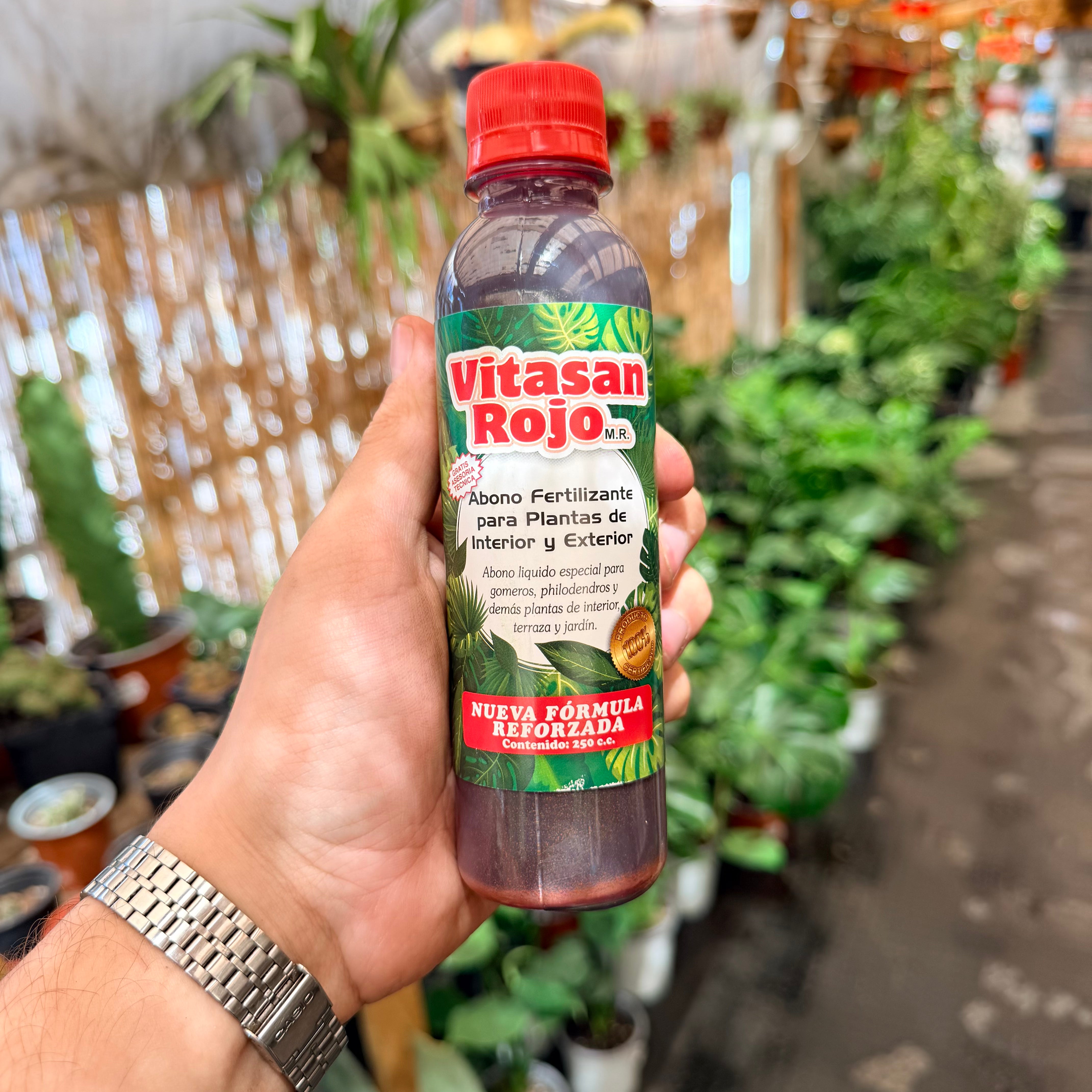 Vivero Mis Tesoros C Gloria