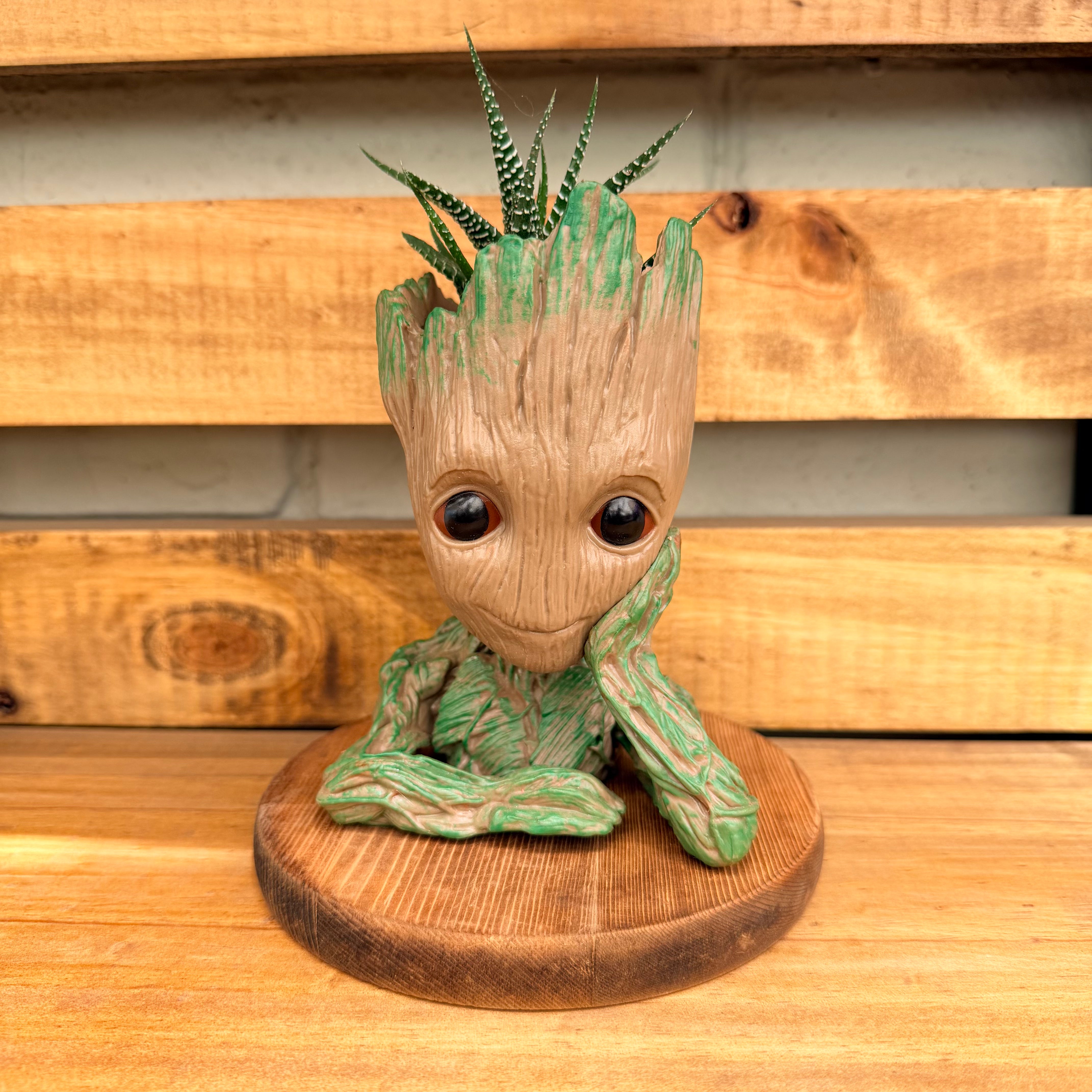 Vivero Mis Tesoros C Gloria