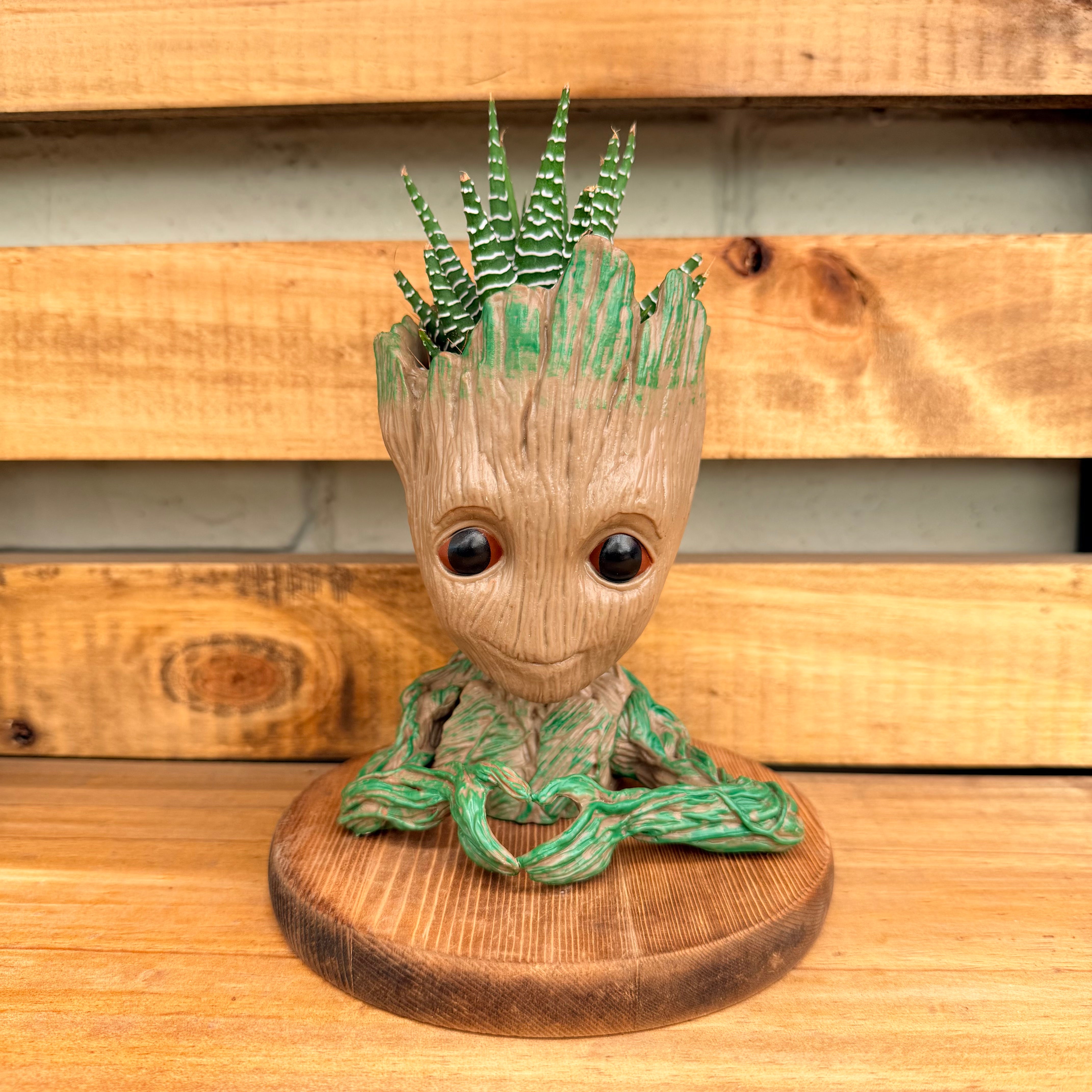 Vivero Mis Tesoros C Gloria