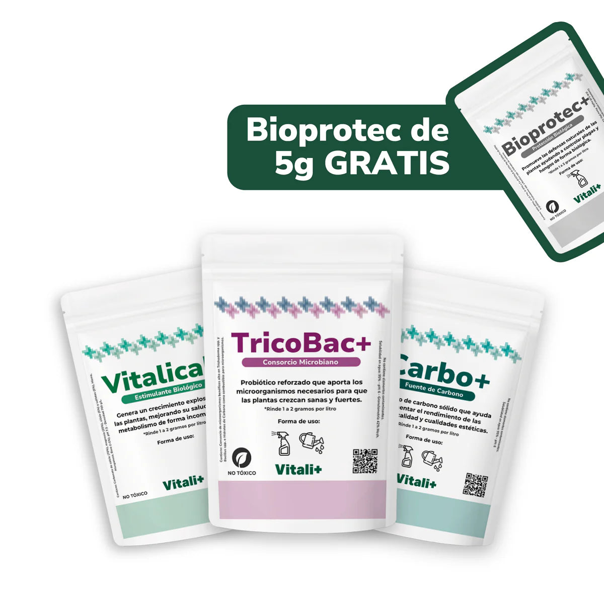 Vivero Mis Tesoros C Gloria