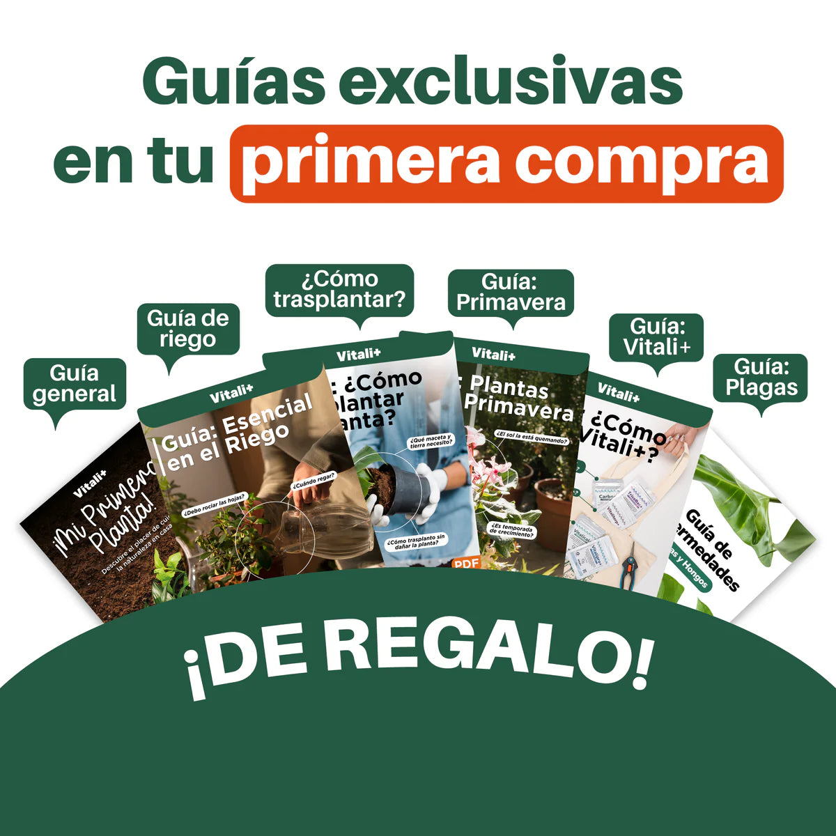 Pack Trasplante 10grs + Sustrato 10L