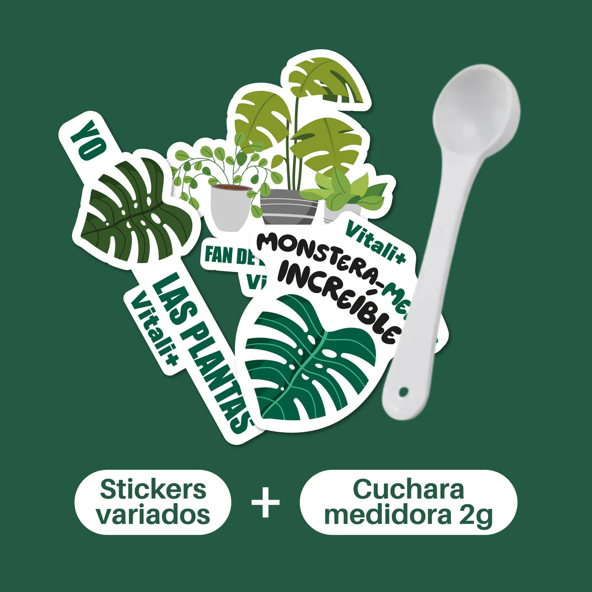 Vivero Mis Tesoros C Gloria