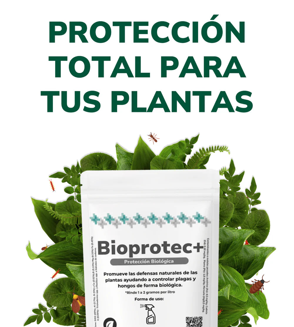 Vivero Mis Tesoros C Gloria