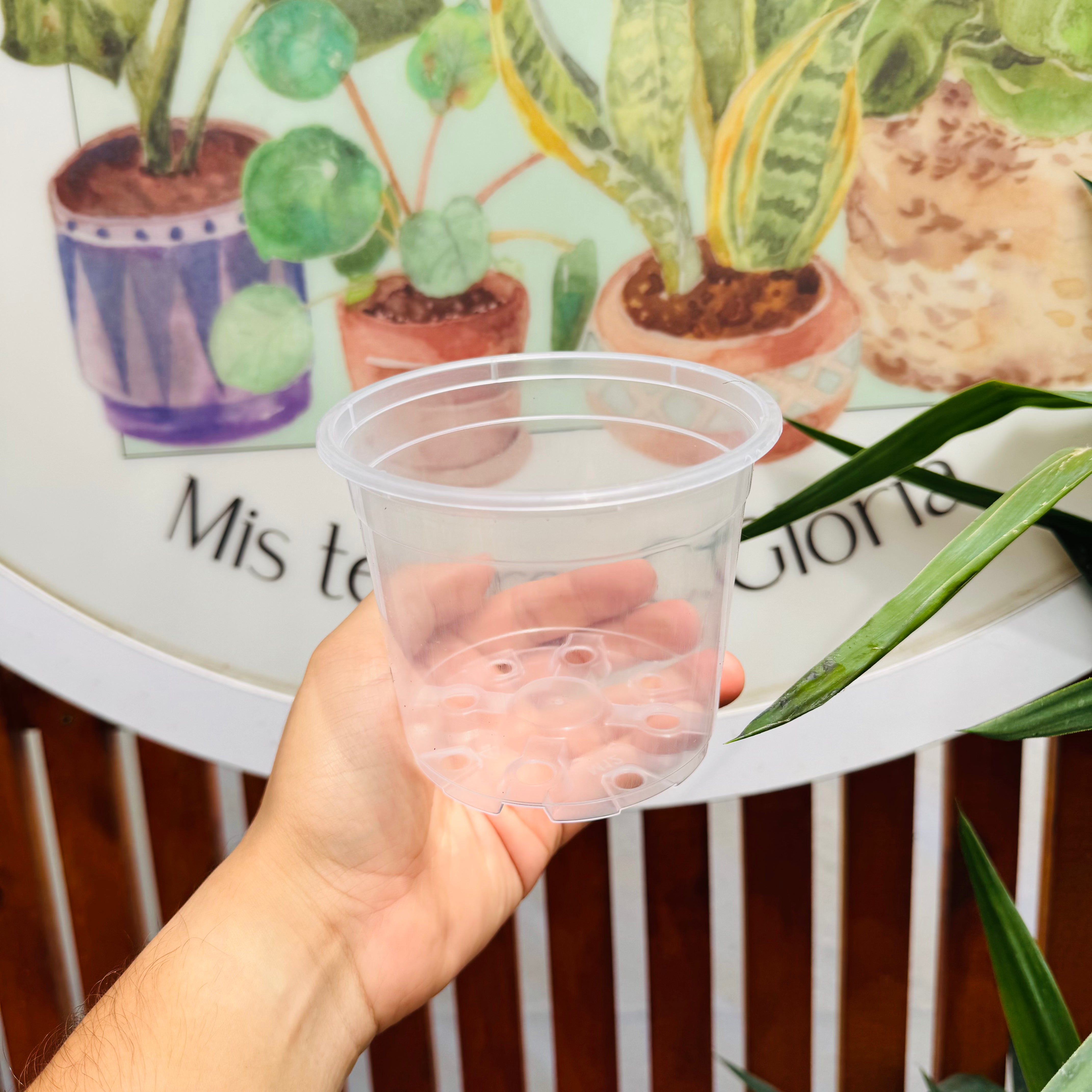 Macetas Trasparentes Premium