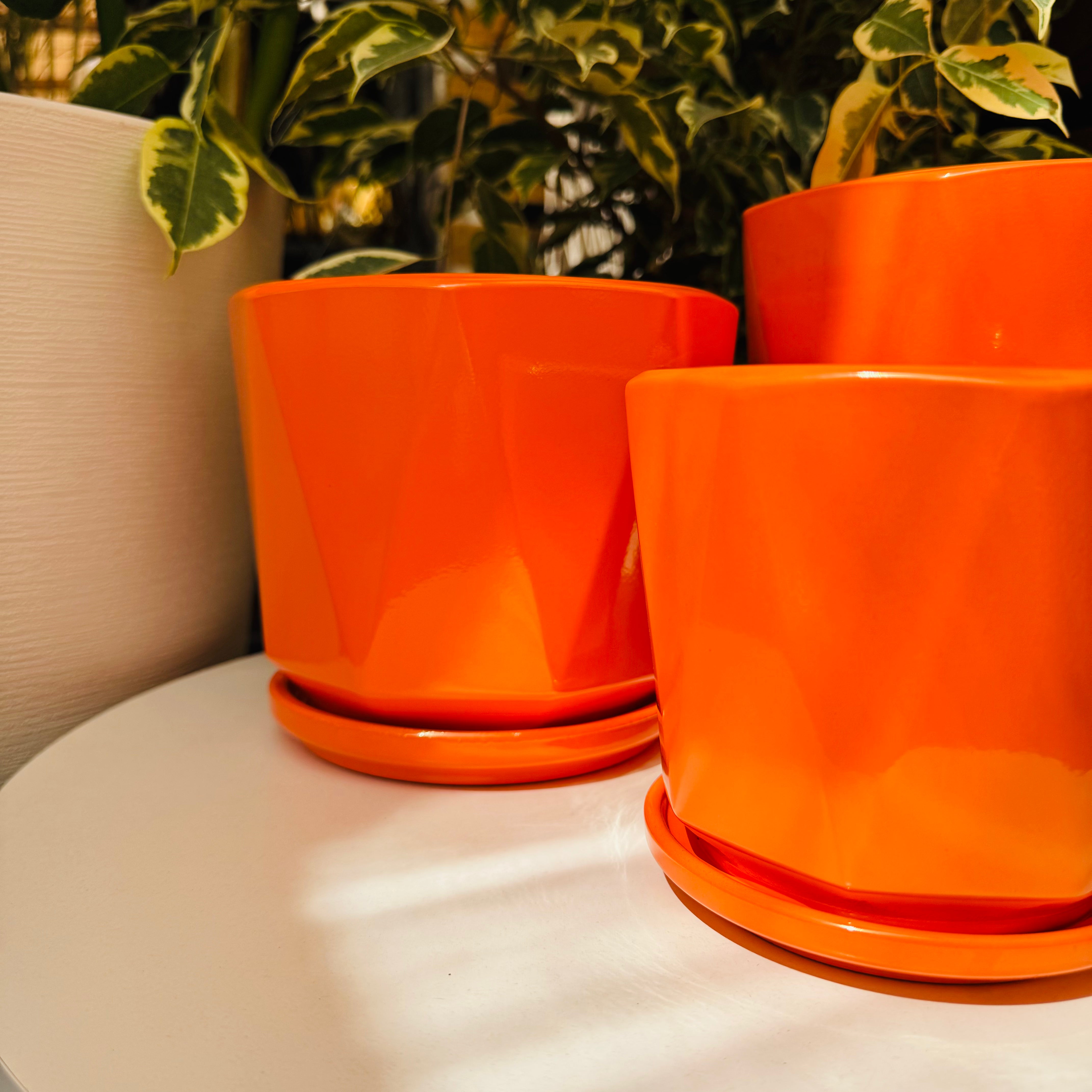 Vivero Mis Tesoros C Gloria