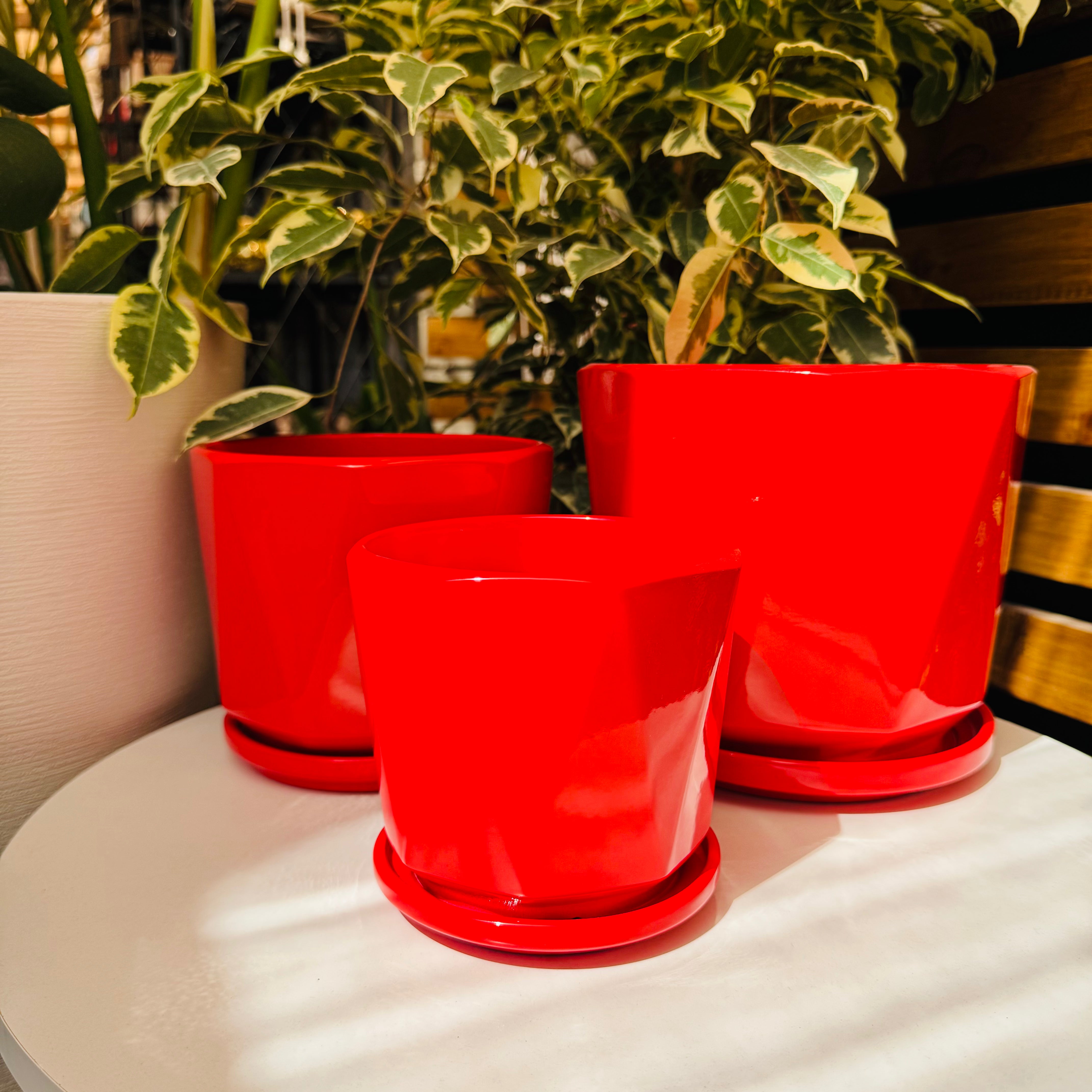 Vivero Mis Tesoros C Gloria