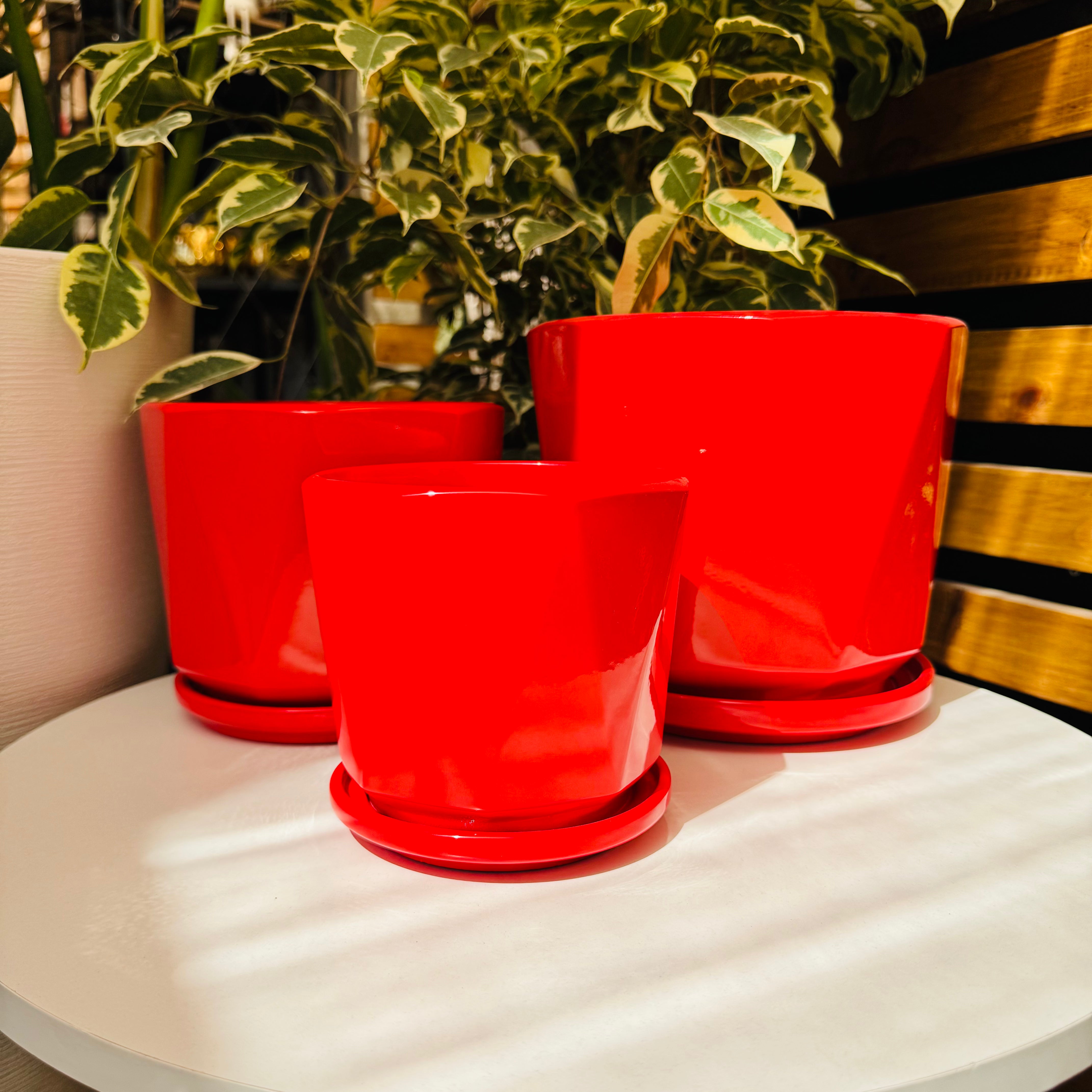 Vivero Mis Tesoros C Gloria