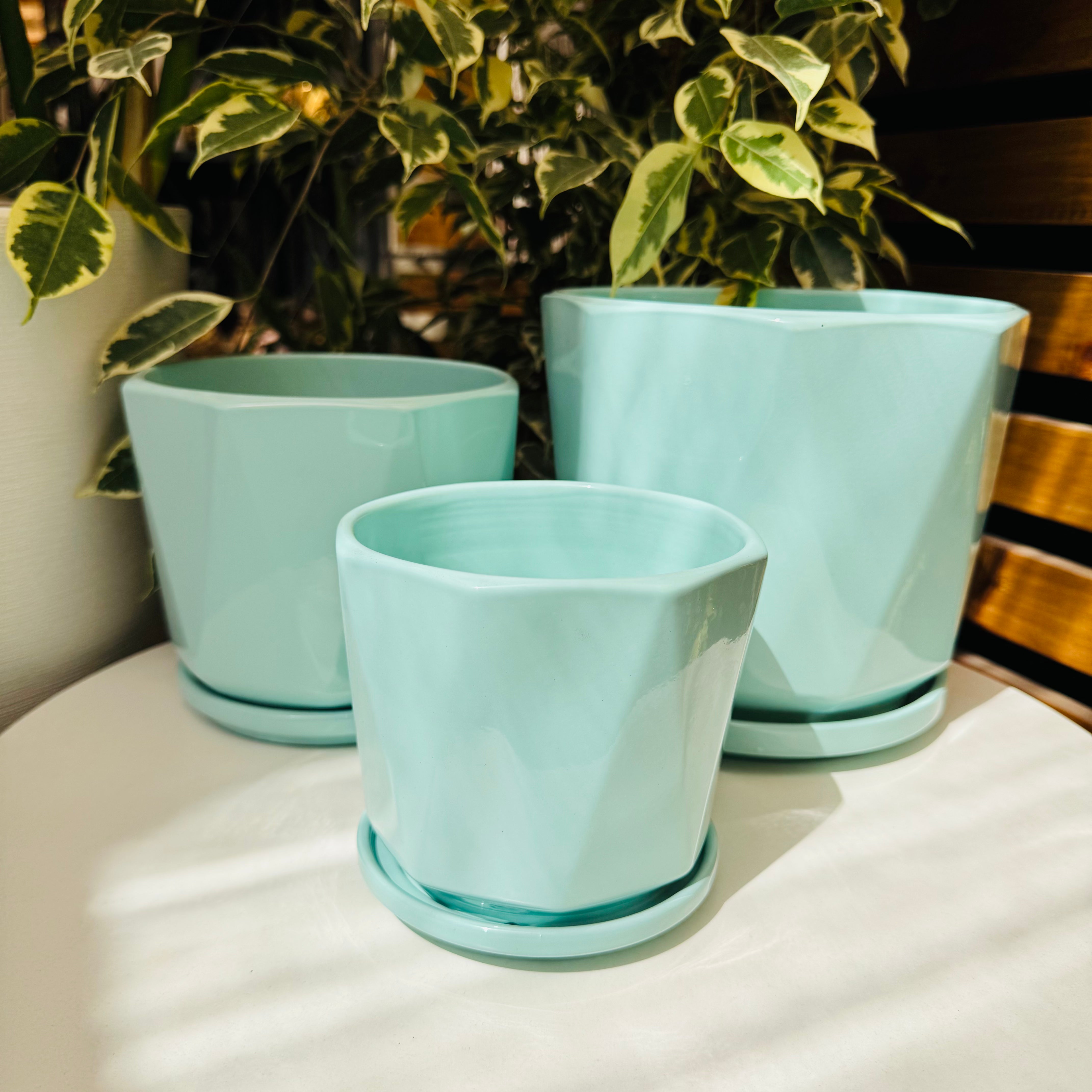 Vivero Mis Tesoros C Gloria