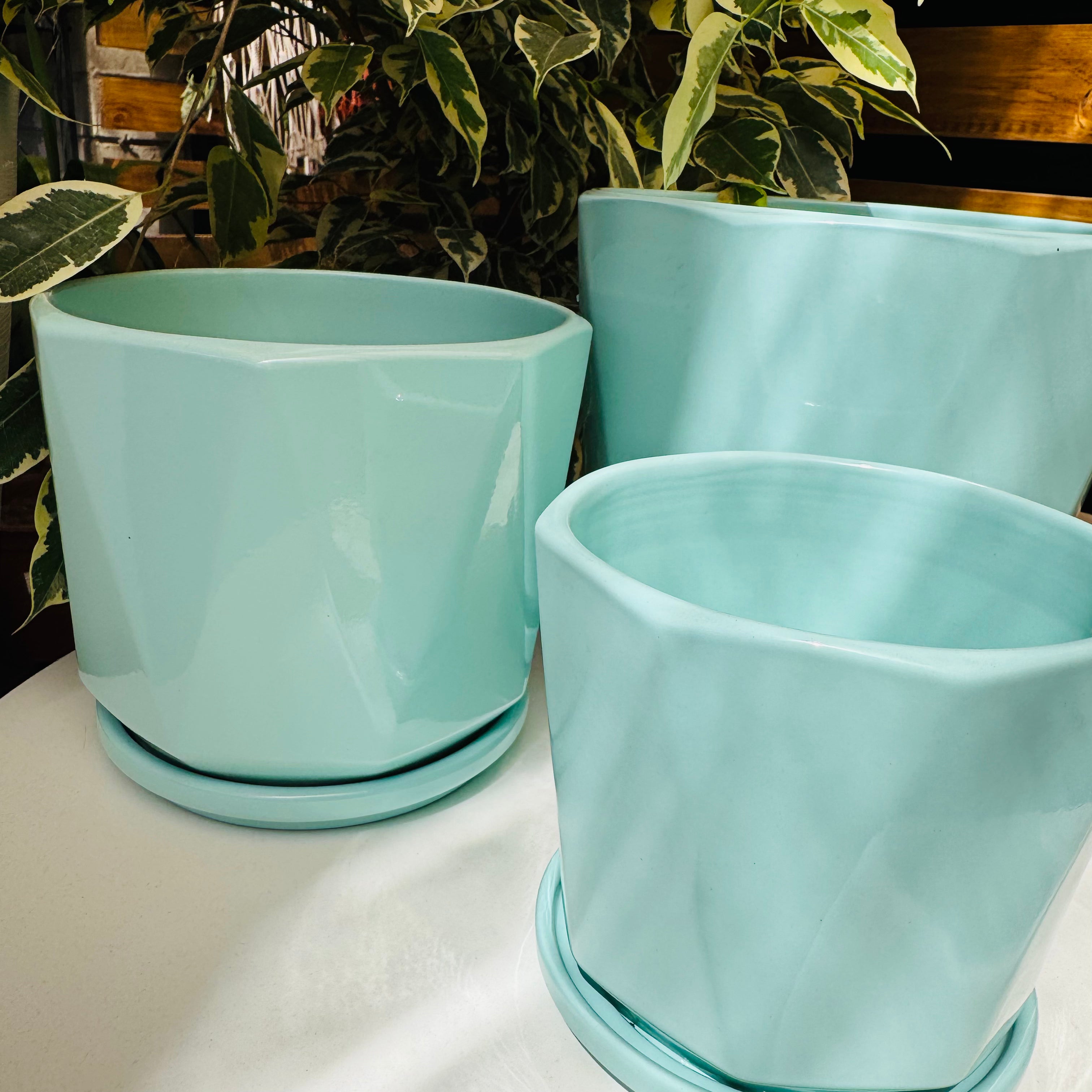 Vivero Mis Tesoros C Gloria