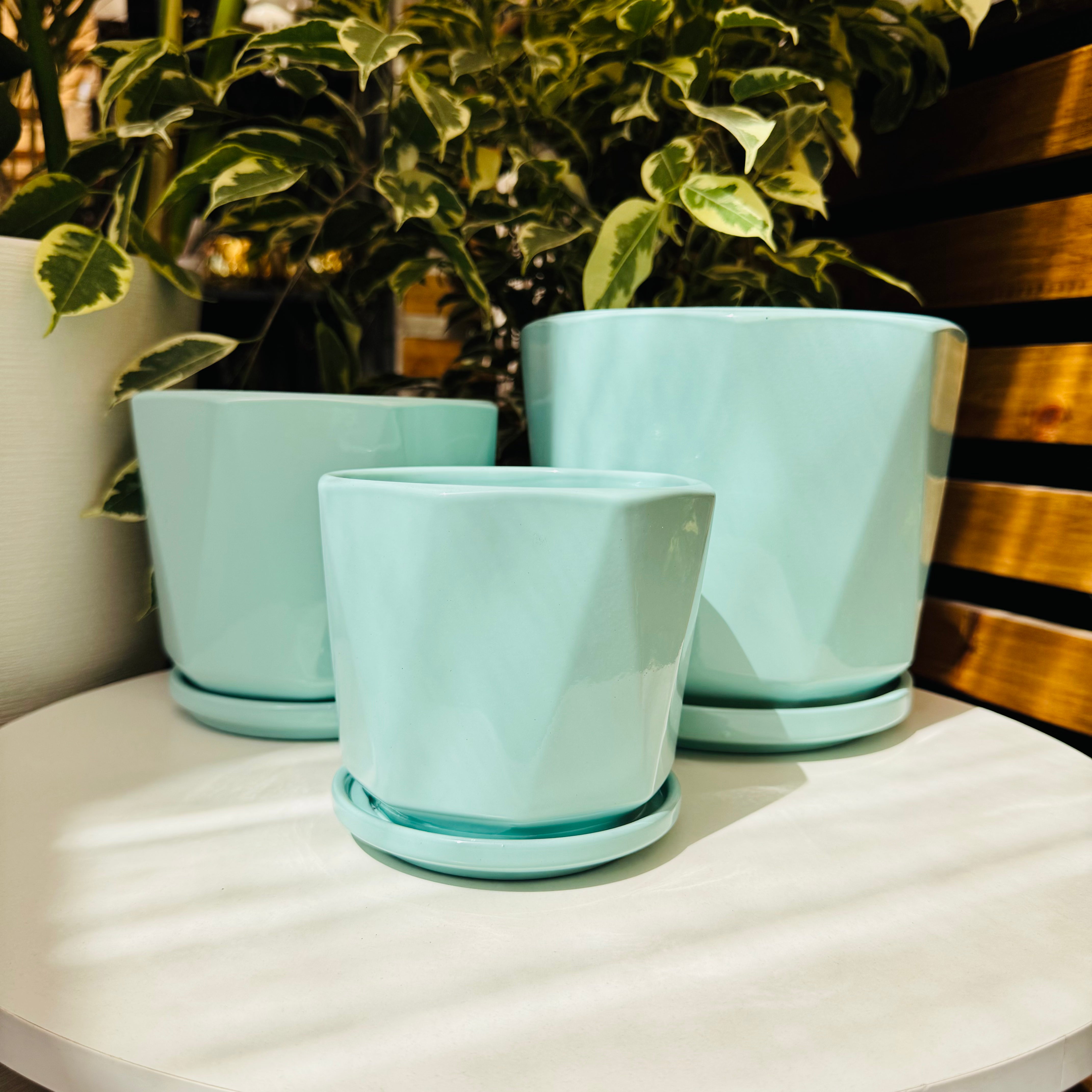 Vivero Mis Tesoros C Gloria