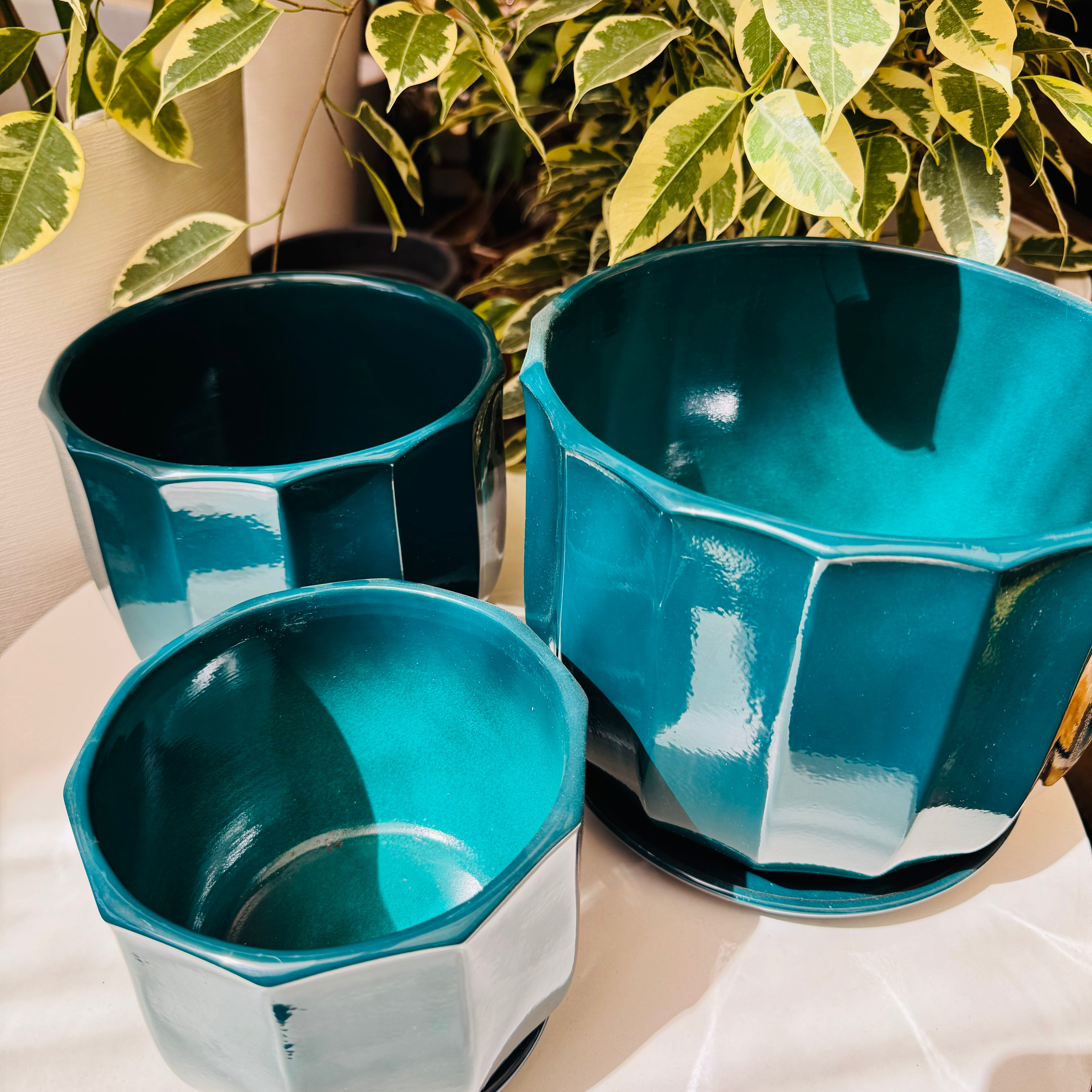 Vivero Mis Tesoros C Gloria