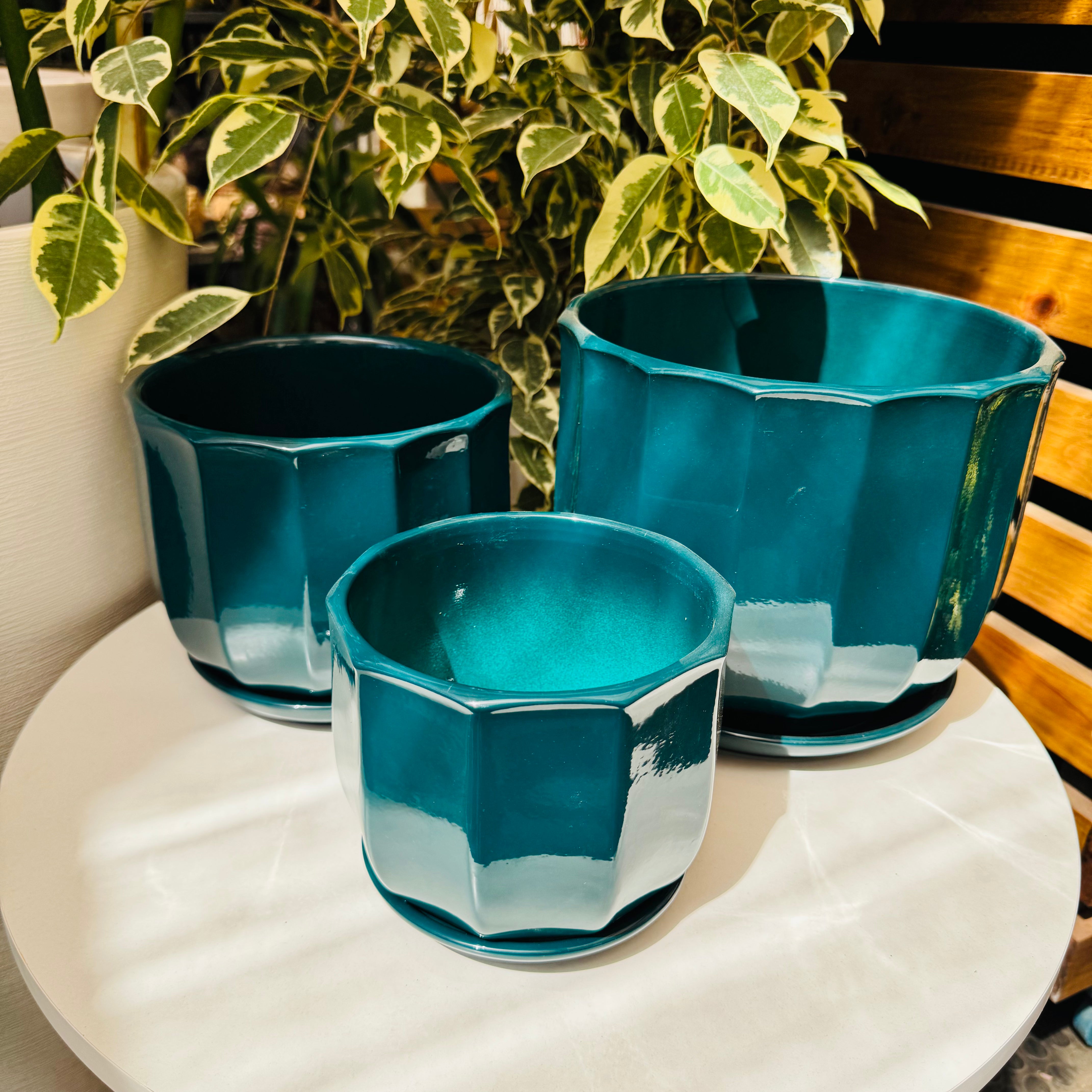 Macetas cerámica Copón Petroleo c/platillo