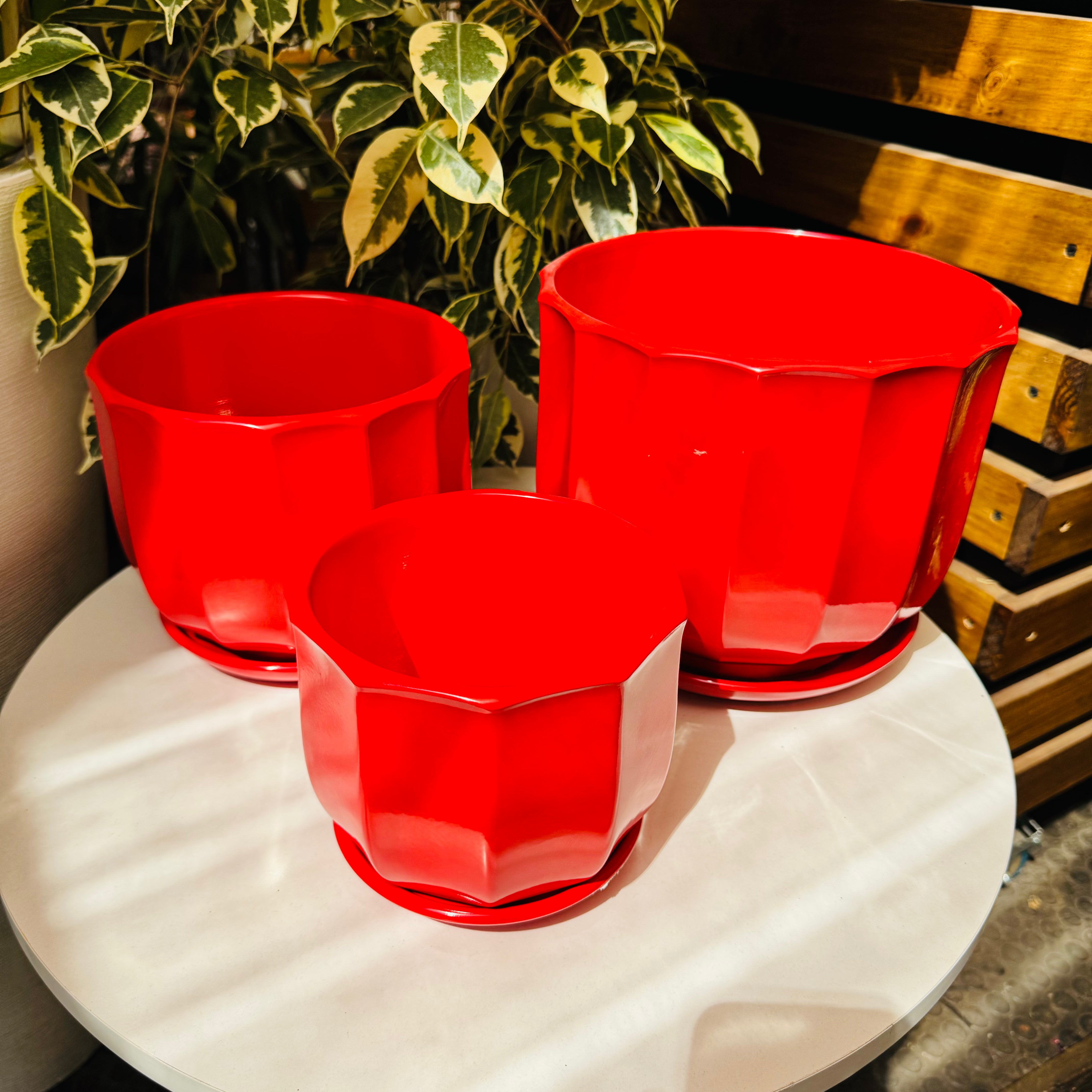 Vivero Mis Tesoros C Gloria