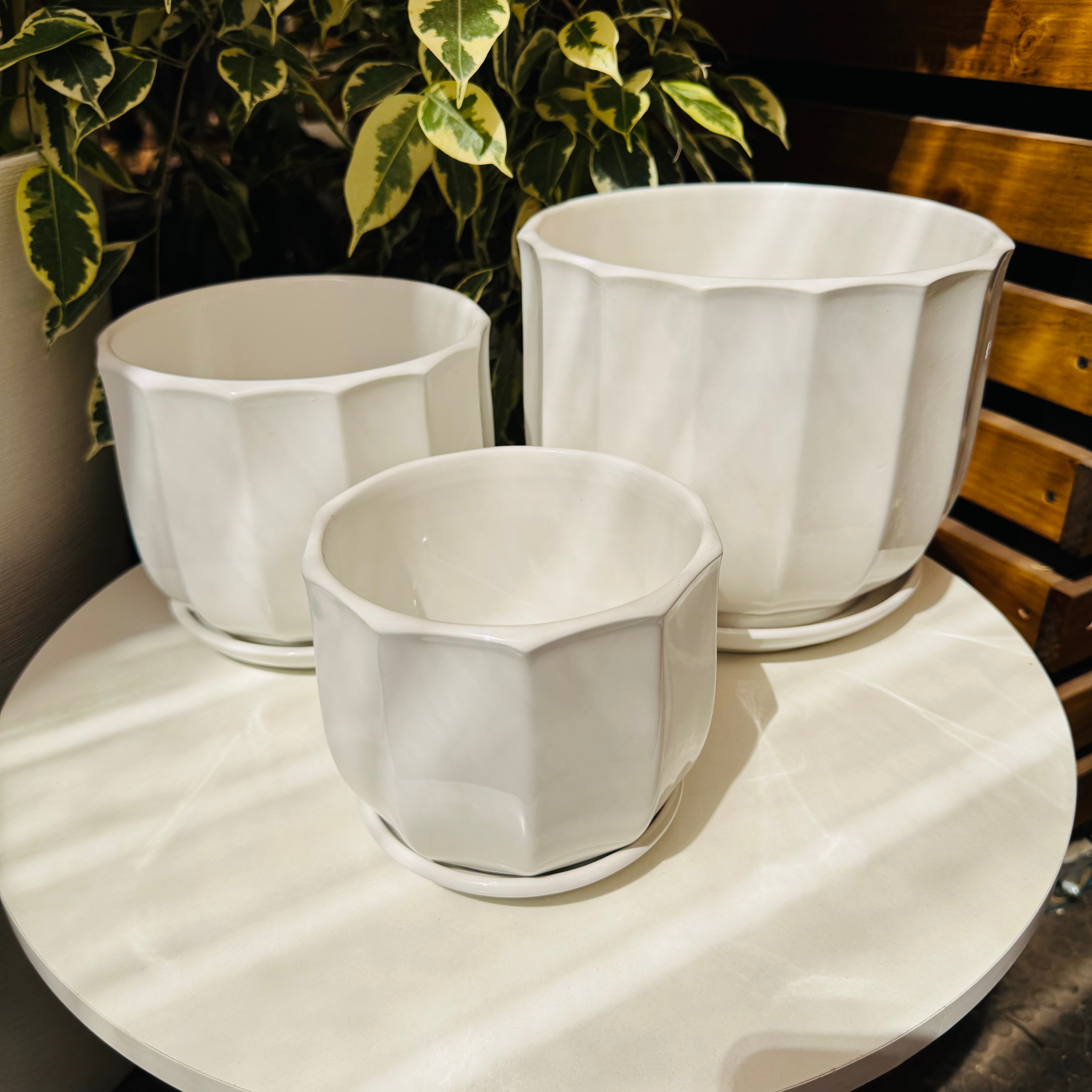 Maceta cerámica Copón Blanco c/platillo