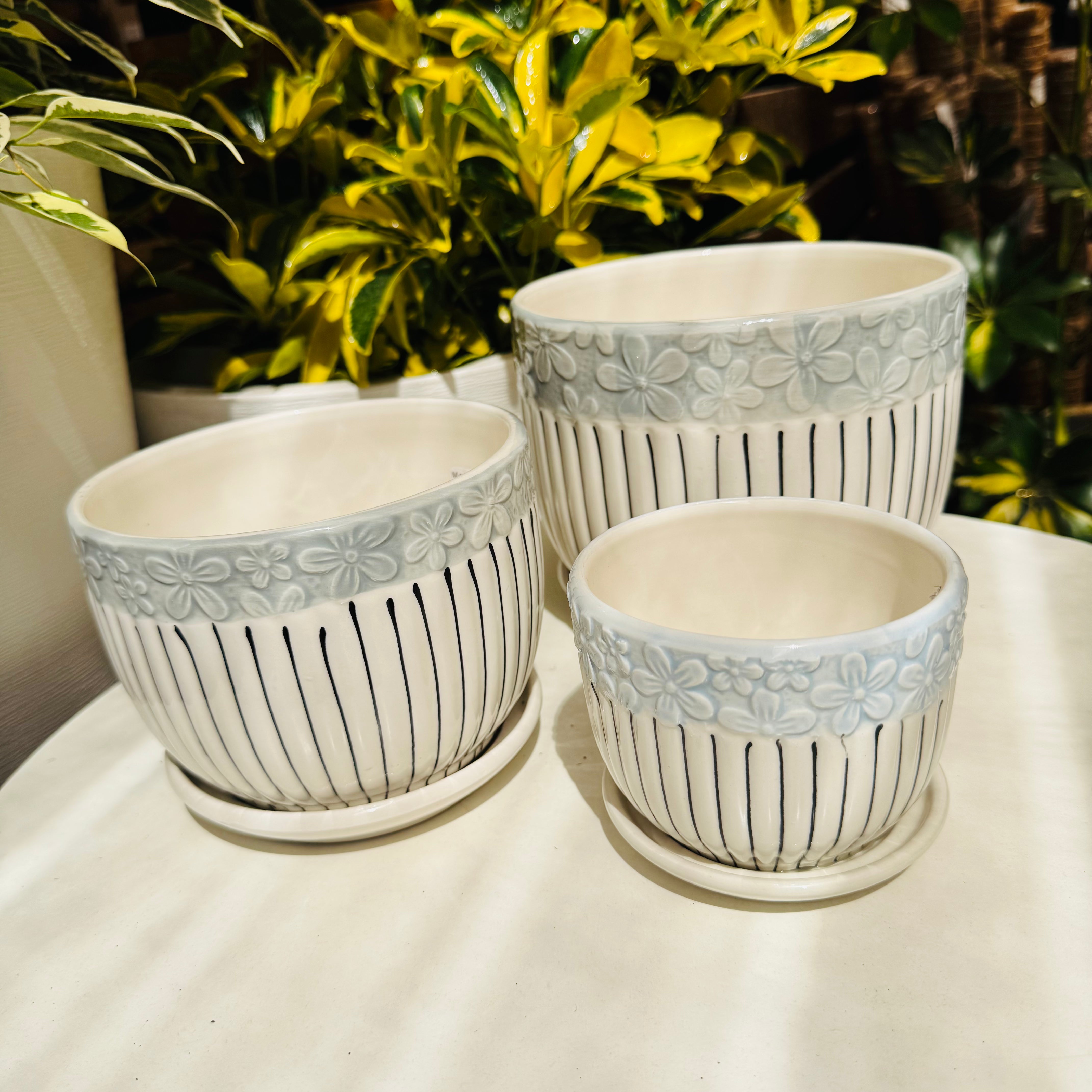 Vivero Mis Tesoros C Gloria