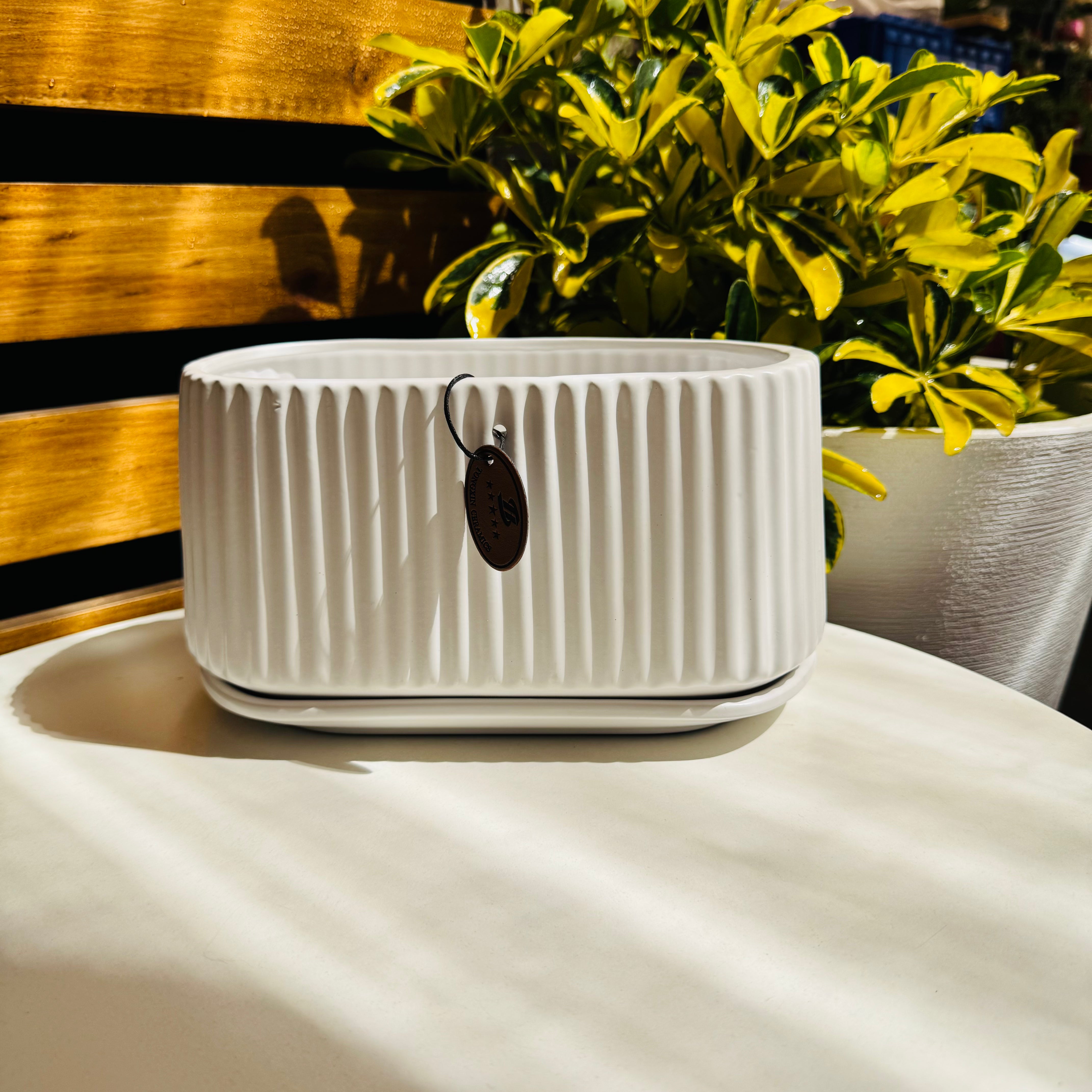 Vivero Mis Tesoros C Gloria