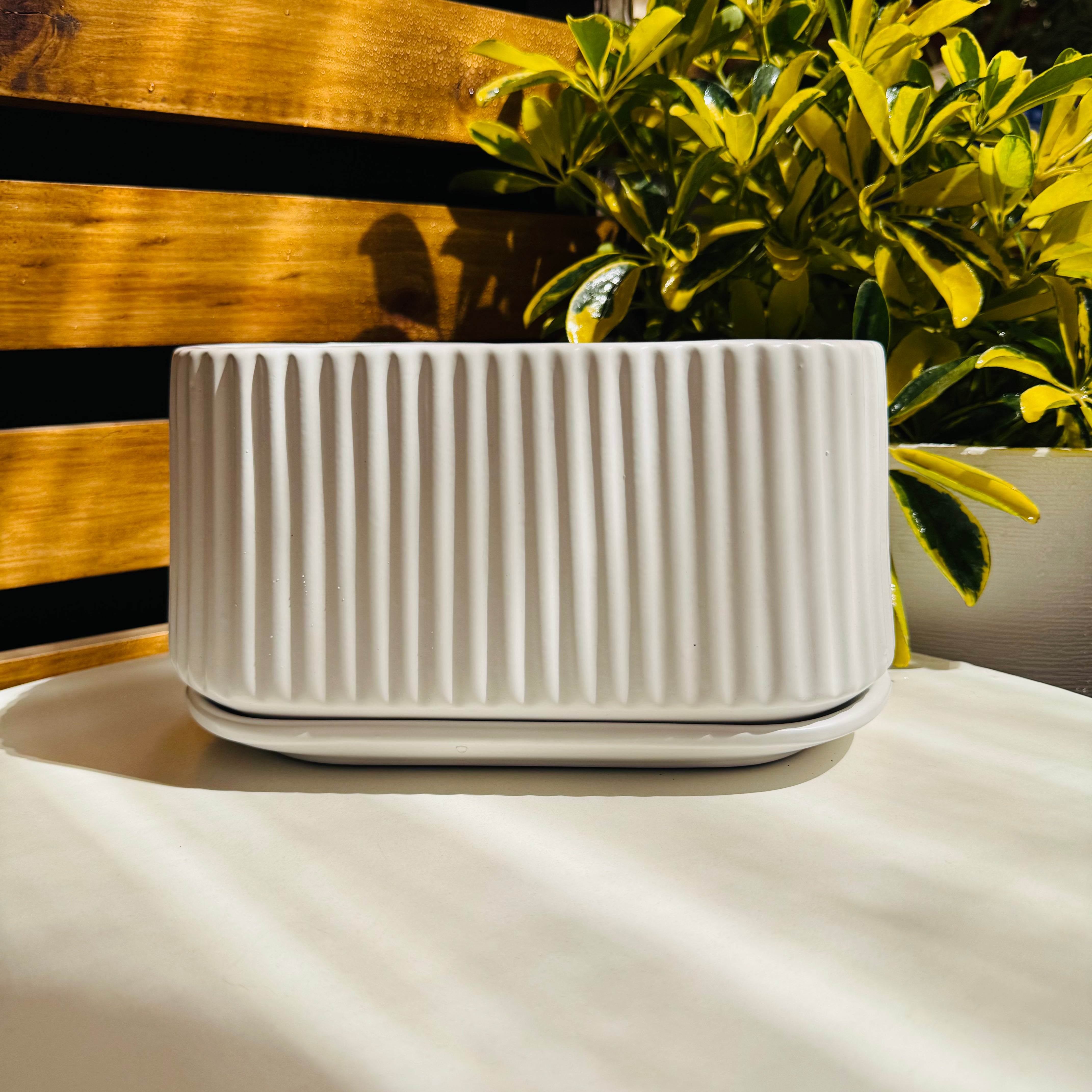 Vivero Mis Tesoros C Gloria