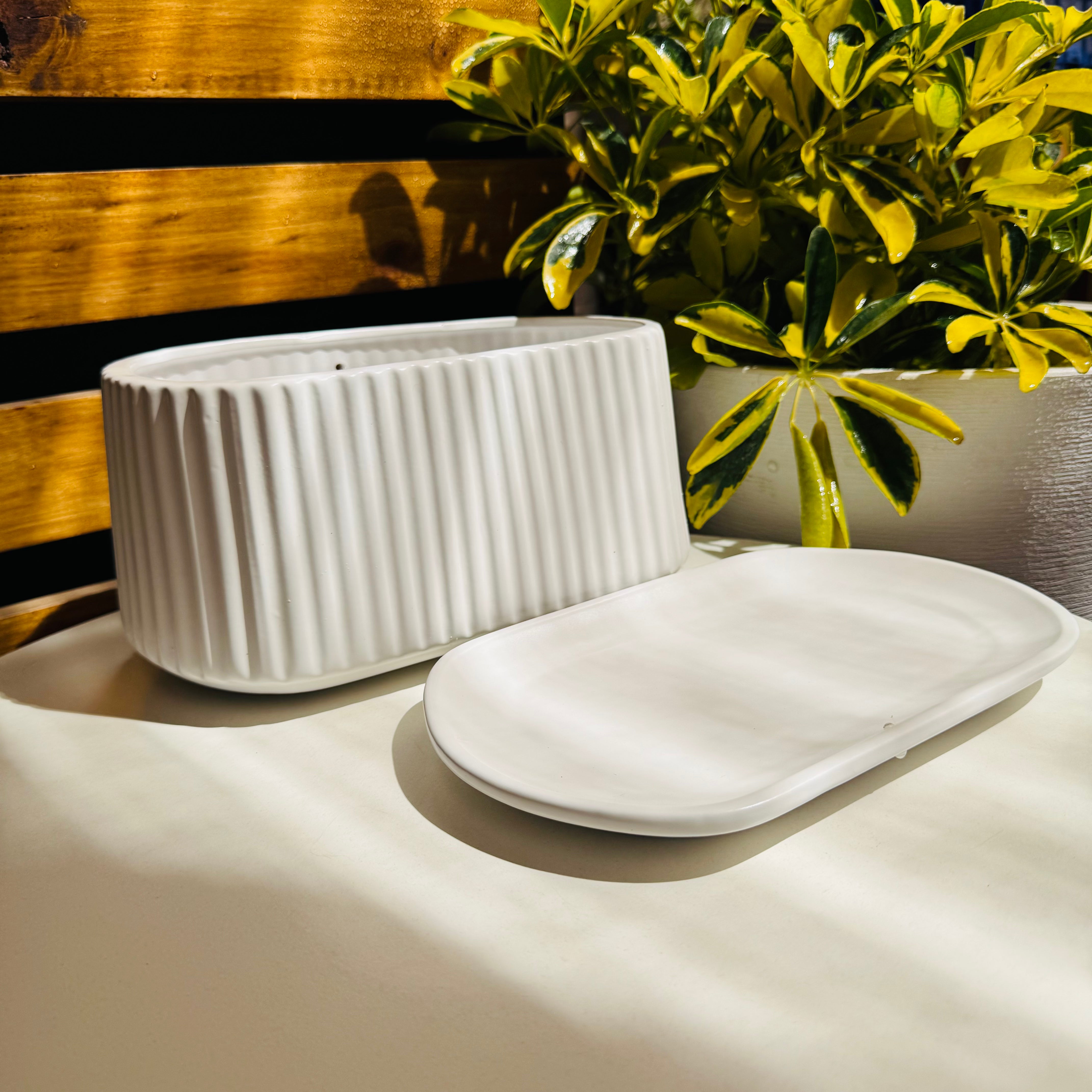 Vivero Mis Tesoros C Gloria