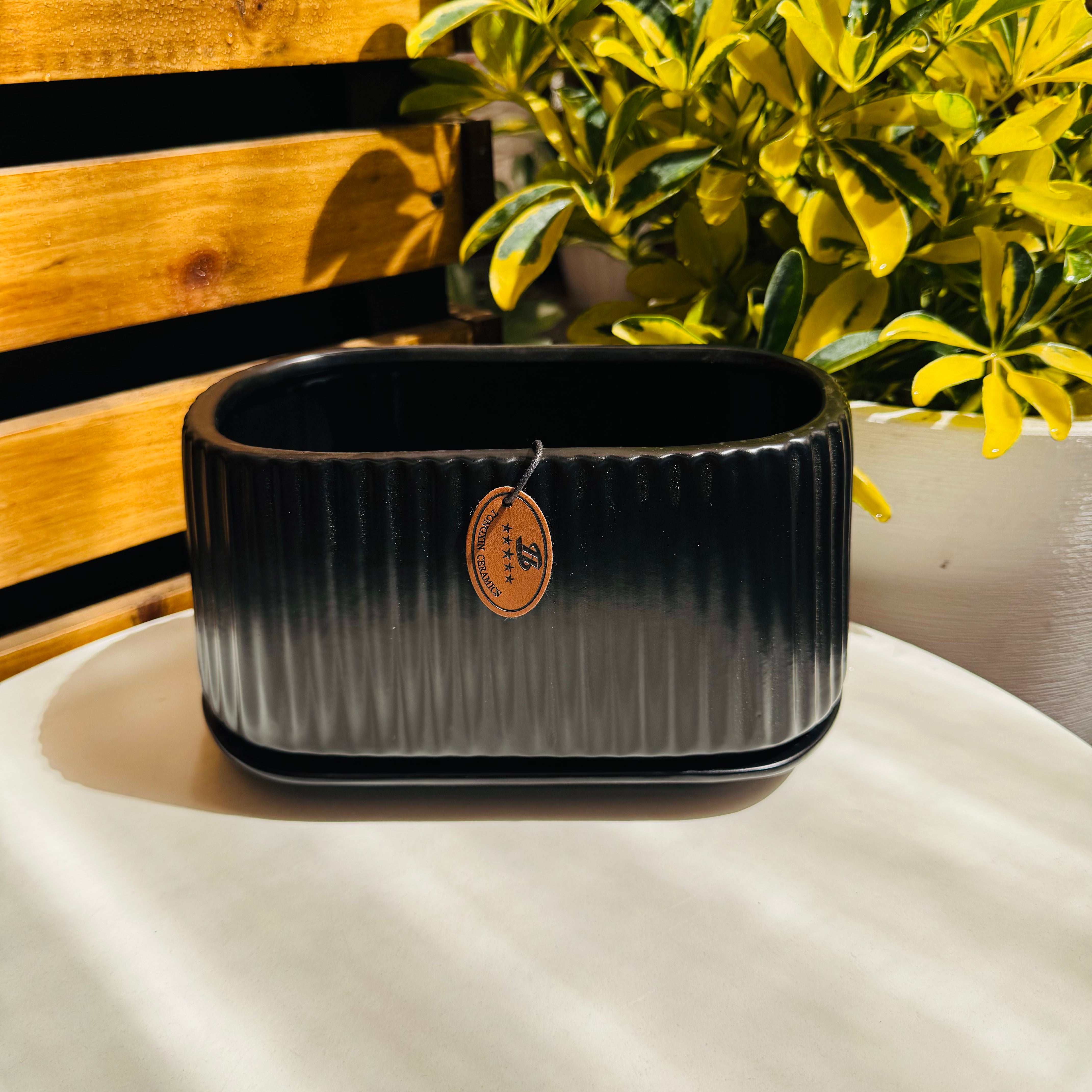 Vivero Mis Tesoros C Gloria